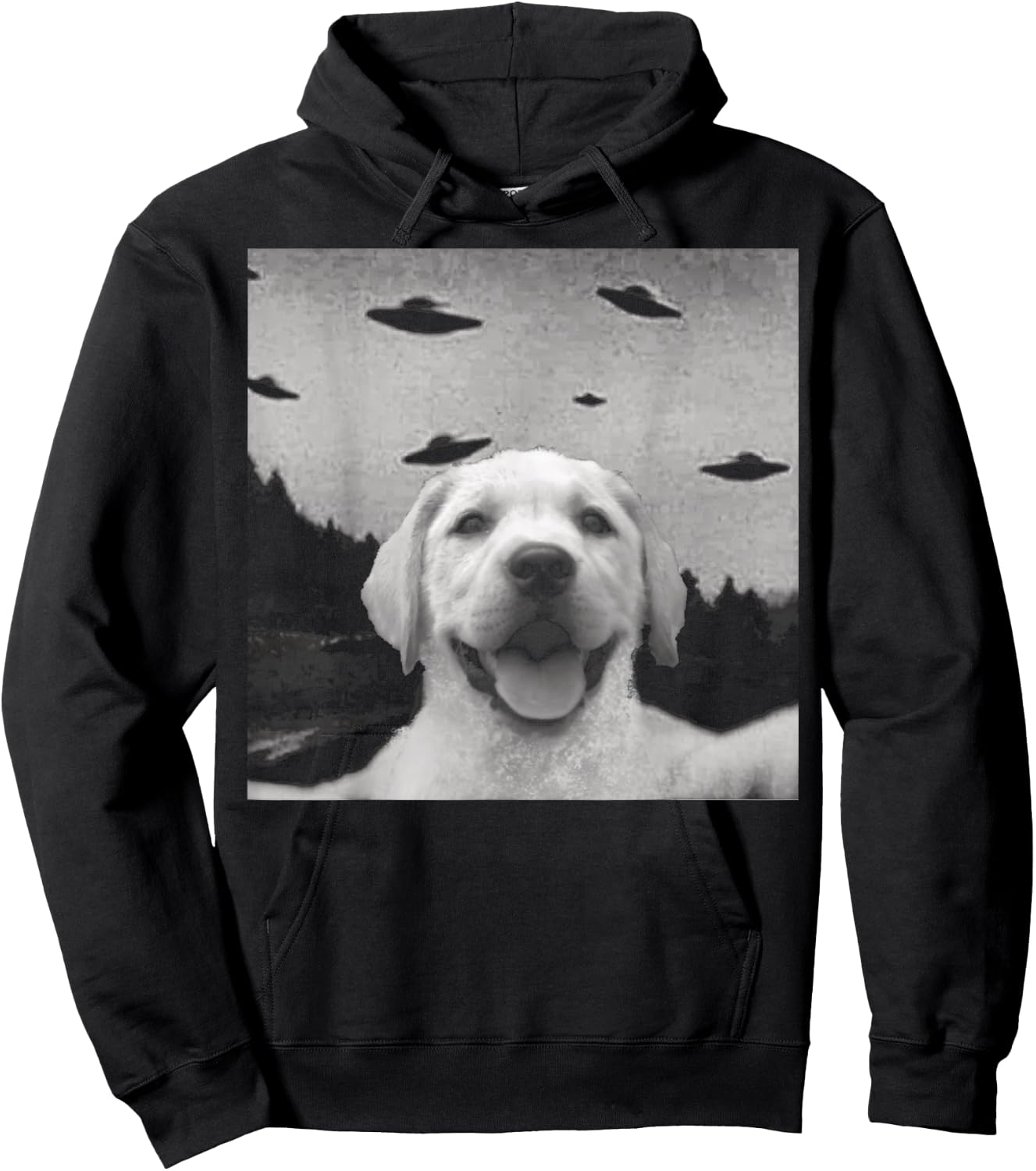 Alien UFO Selfie Labrador Hoodie - Hoodie | Black