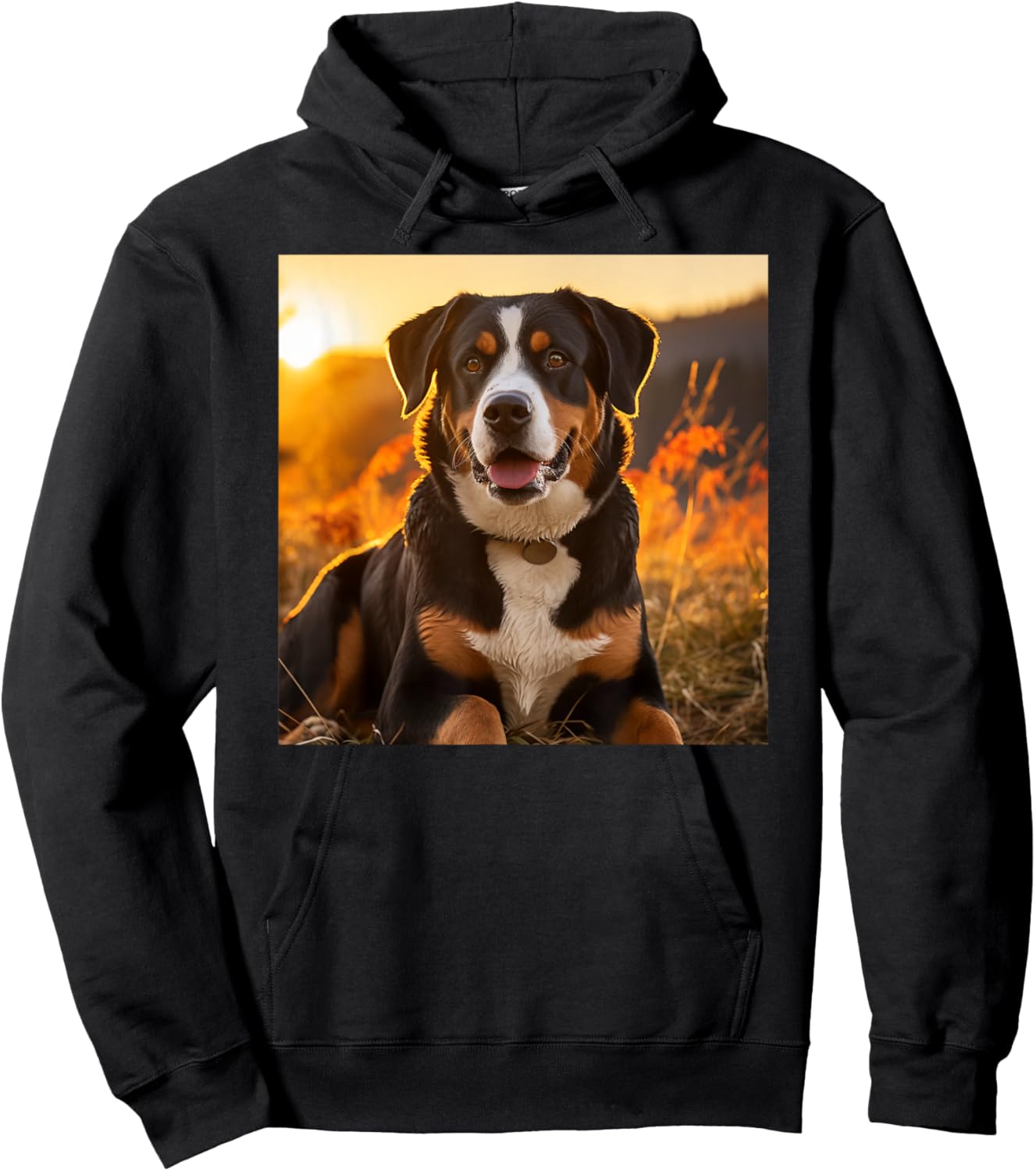 Greater Swiss Mountain Dog Sitting In The Sunset Photography Hoodie - Hoodie | Black