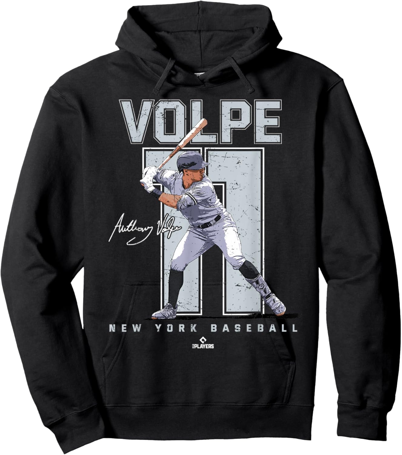 BallPark MVP Adult Black Baseball with Anthony Volpe Portrait, Small Hoodie - Hoodie | Black