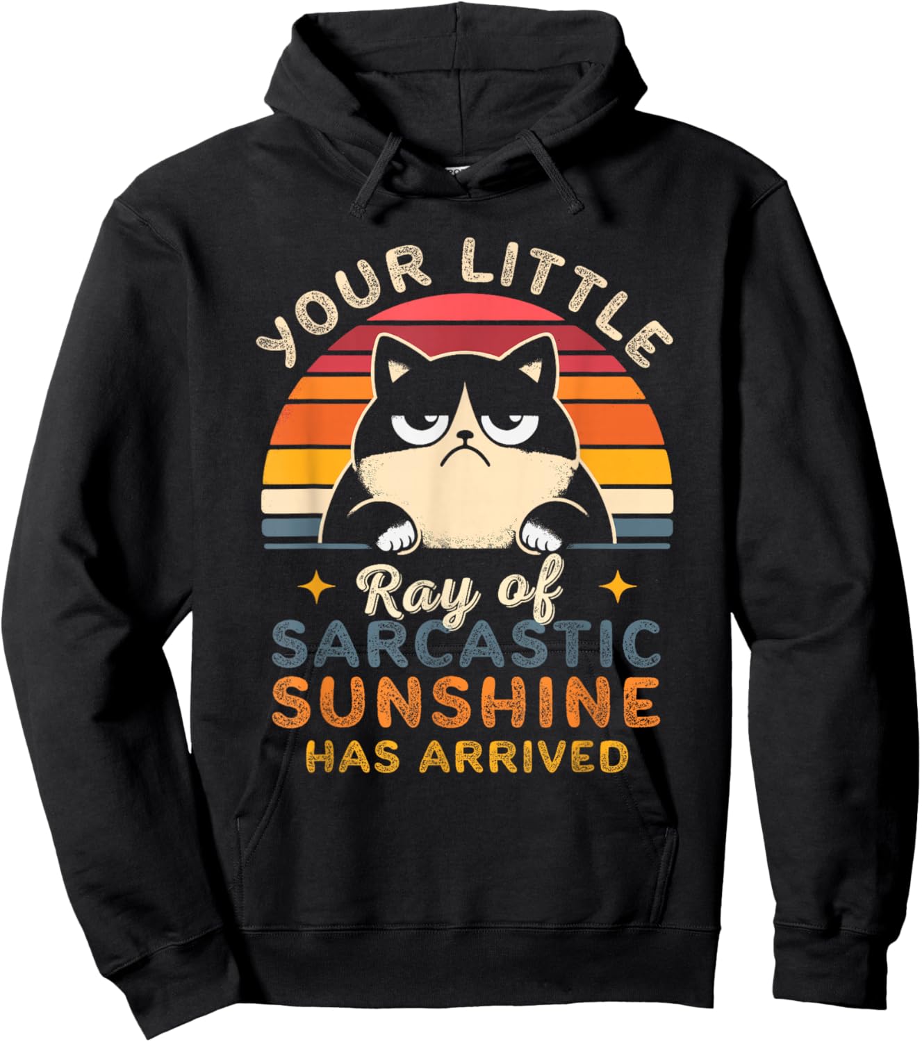 Sarcasm Retro Sunset Quote Ray Of Sarcastic Sunshine Cats Hoodie - Hoodie | Black