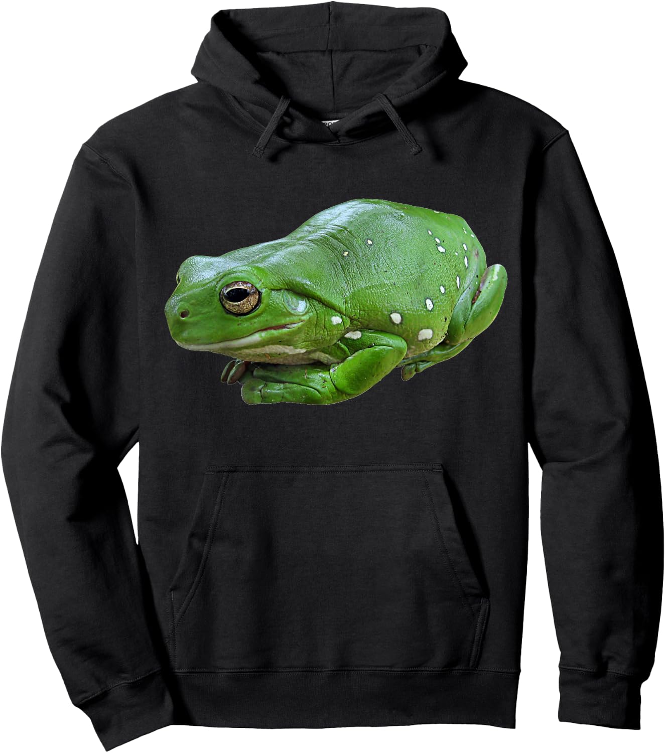 Dumpy Tree Frog White's Tree Frog Amphibian Hoodie - Hoodie | Black