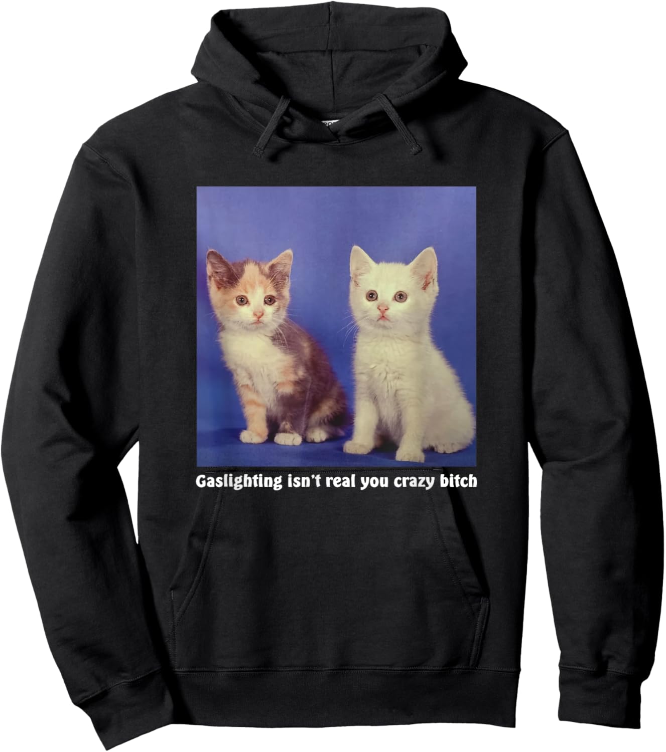 Gaslighting Isn't Real You Crazy B.I.T.C.H Funny Cat Lover Women Hoodie - Hoodie | Black