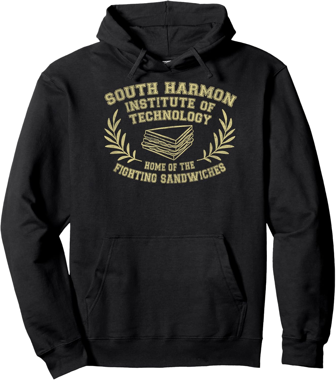Accepted to the South Harmon Institute of Technology Student Hoodie - Hoodie | Black