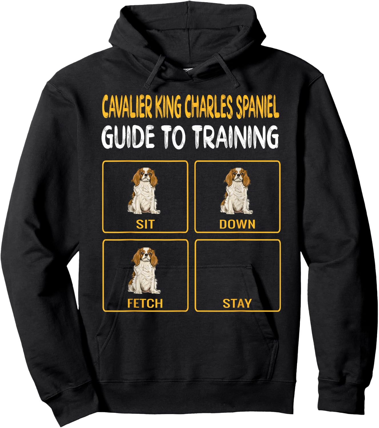 Cavalier King Charles Spaniel Guide to Training Dog Trainer Hoodie - Hoodie | Black