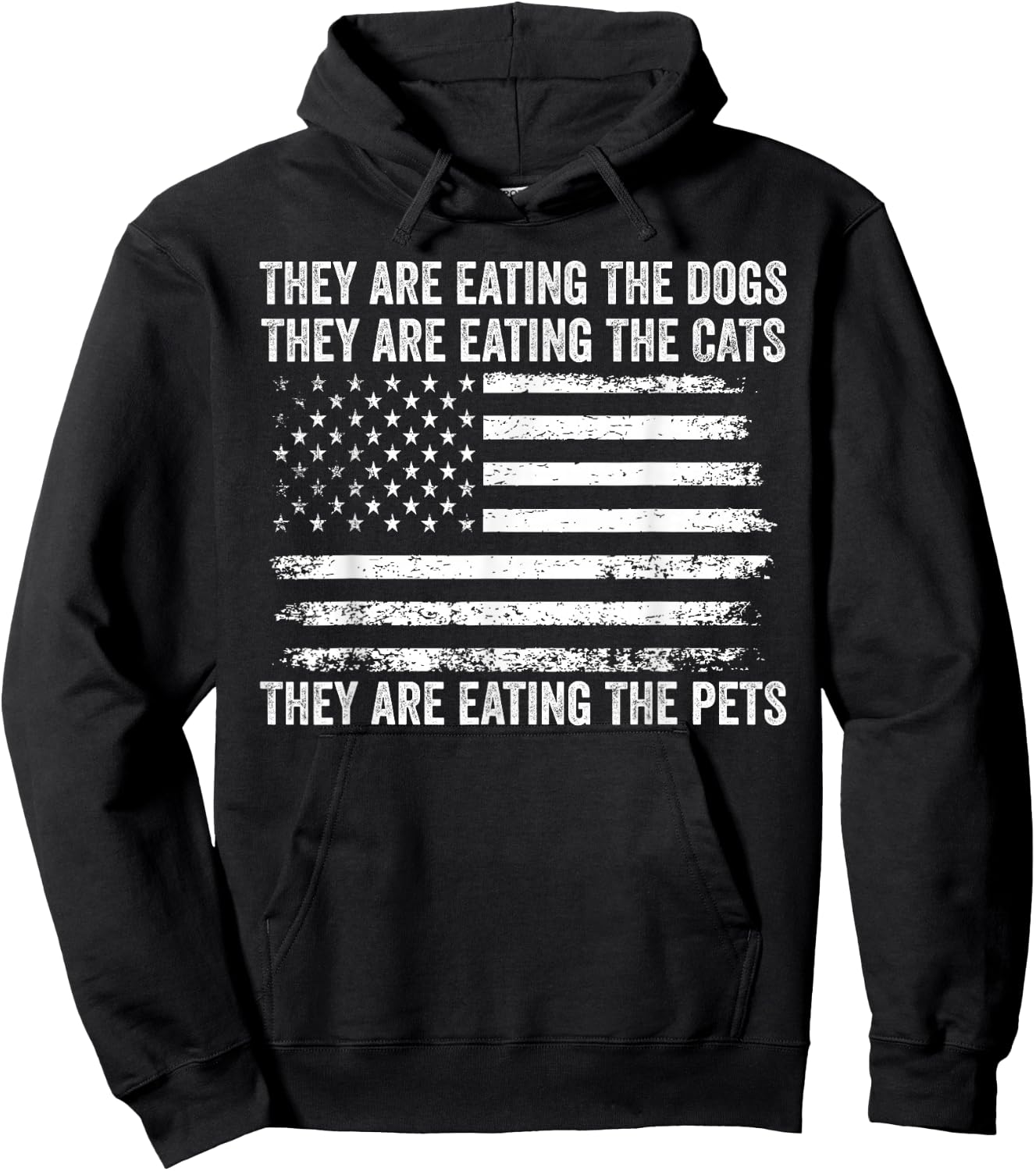 They Are Eating The Dogs The Cats The Pets US Flag Vintage Hoodie - Hoodie | Black