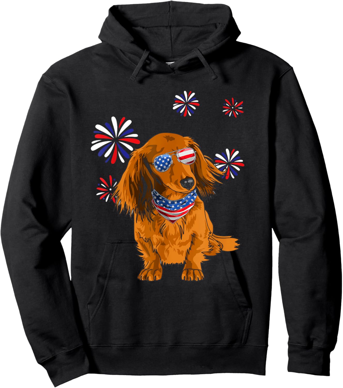 Patriotic Red Long-Haired Dachshund 4th of July Dog Lover Men Hoodie - Hoodie | Black