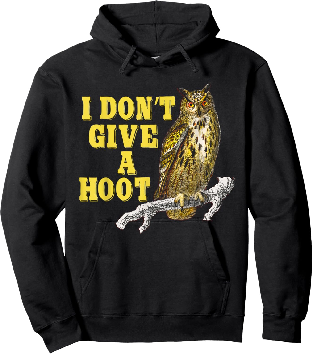 I Don't Give A Hoot Give A Hoot T Shirt Owl Lover Funny Owls Hoodie - Hoodie | Black