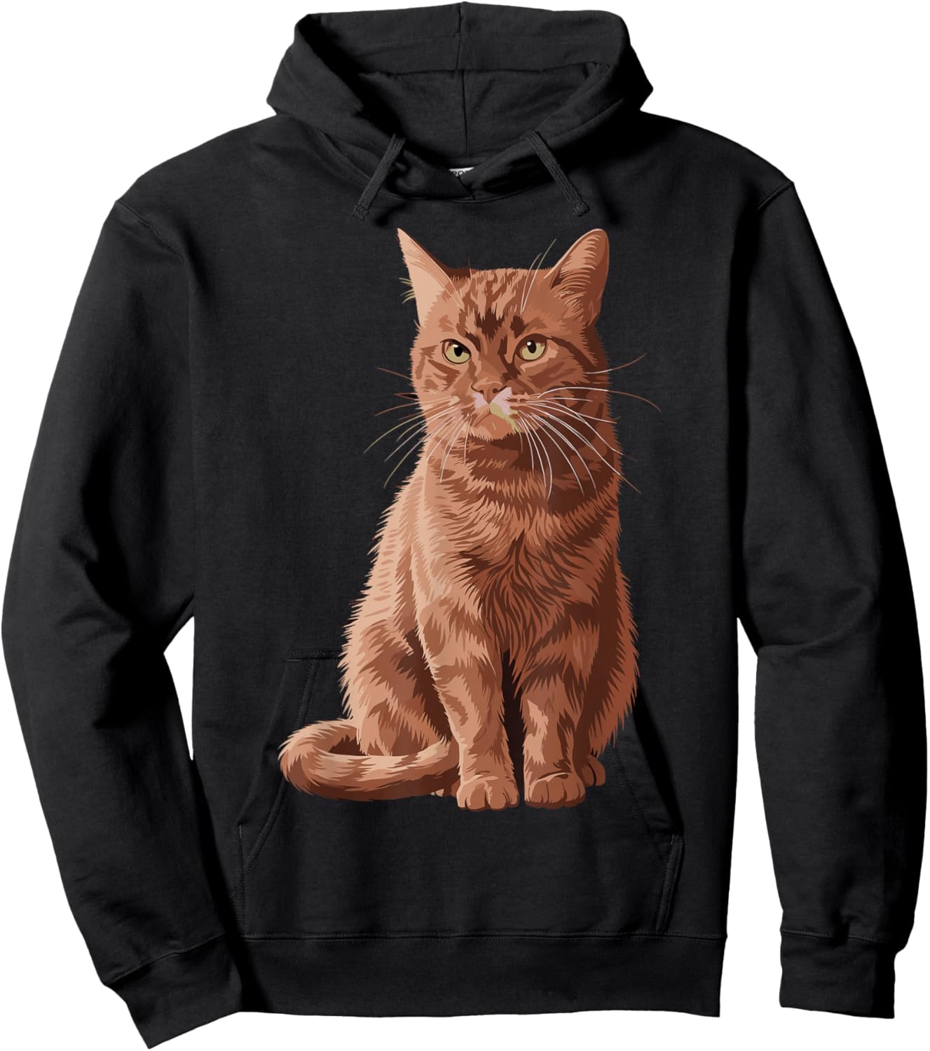 Orange Tabby Cat Orange Cat Hoodie - Hoodie | Black