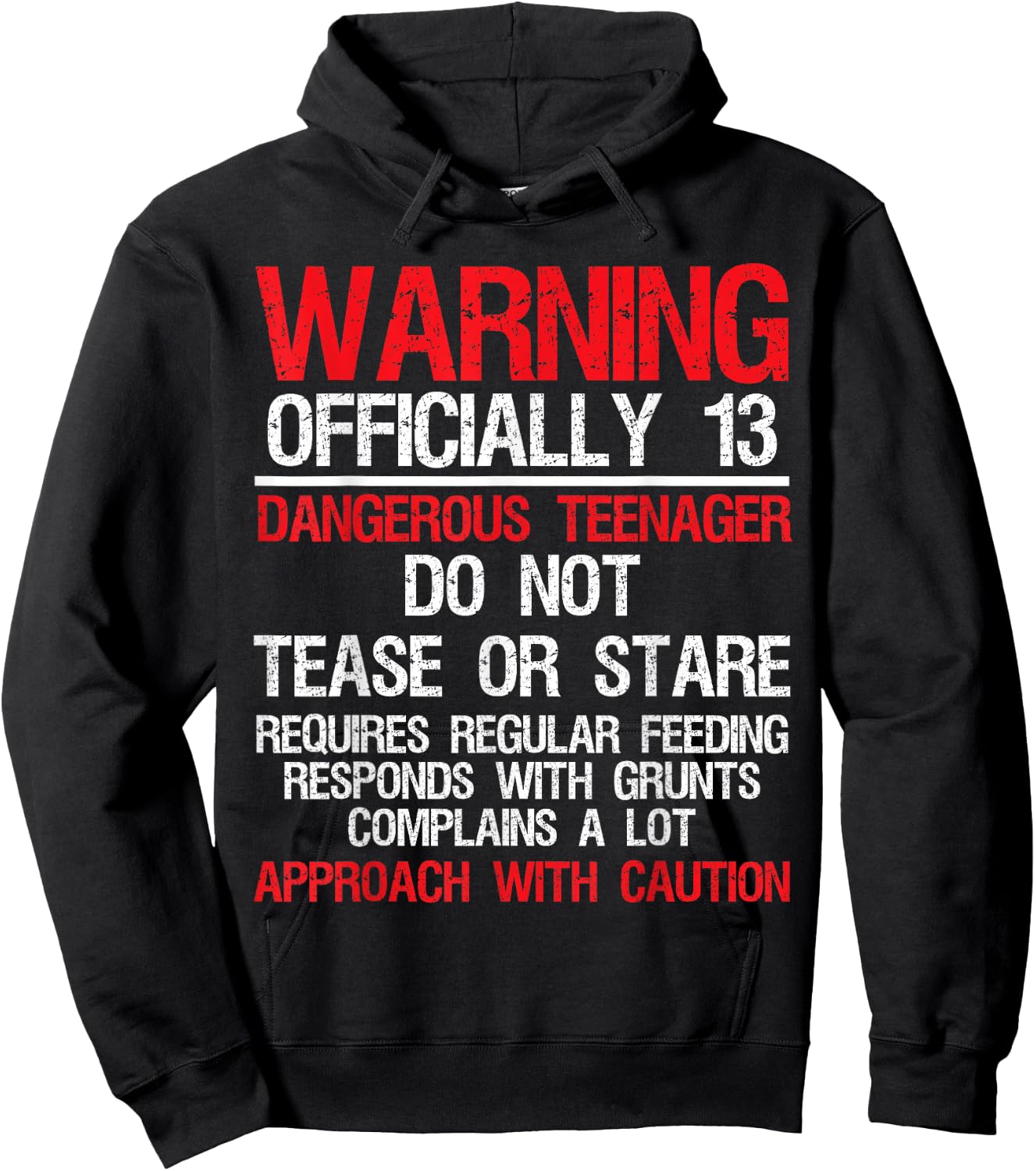 13 Years Old Warning Dangerous Teenager 13th Birthday Hoodie - Hoodie | Black