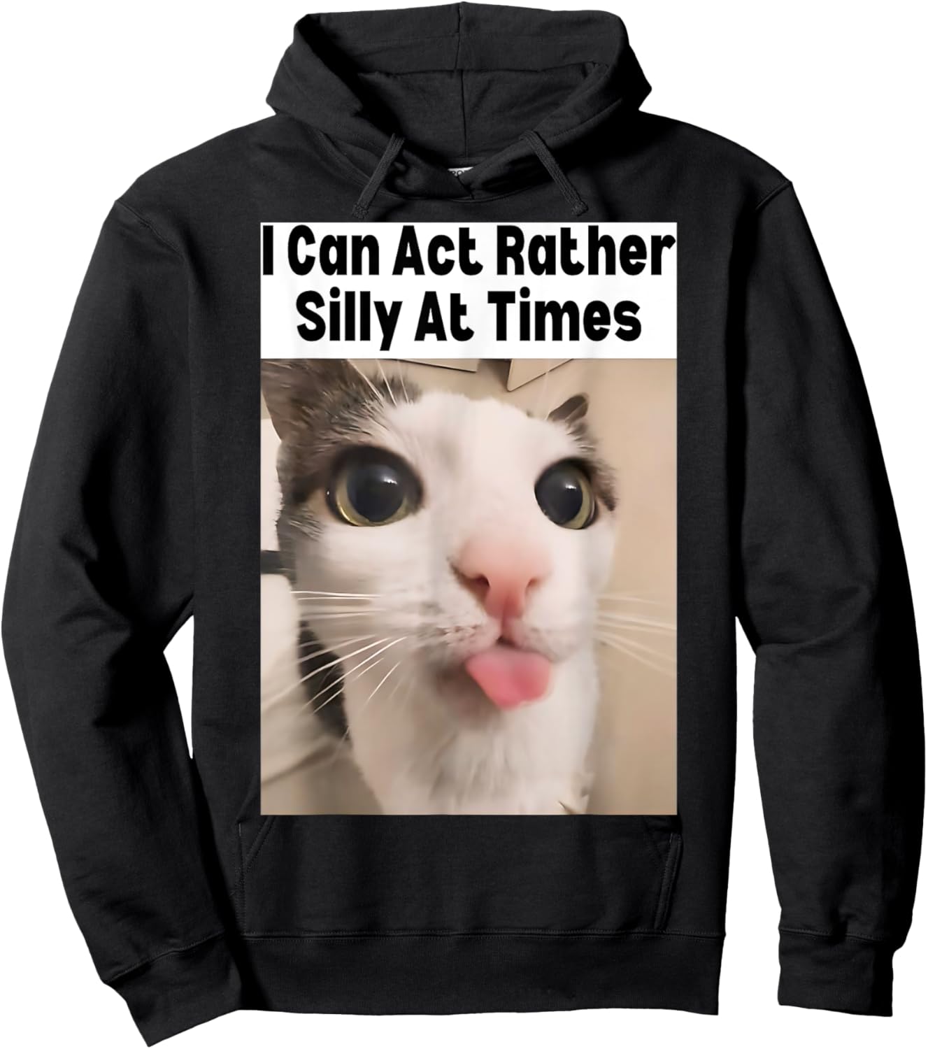 I Can Act Rather Silly At Times Cat Meme Funny Meme Gen Z Hoodie - Hoodie | Black