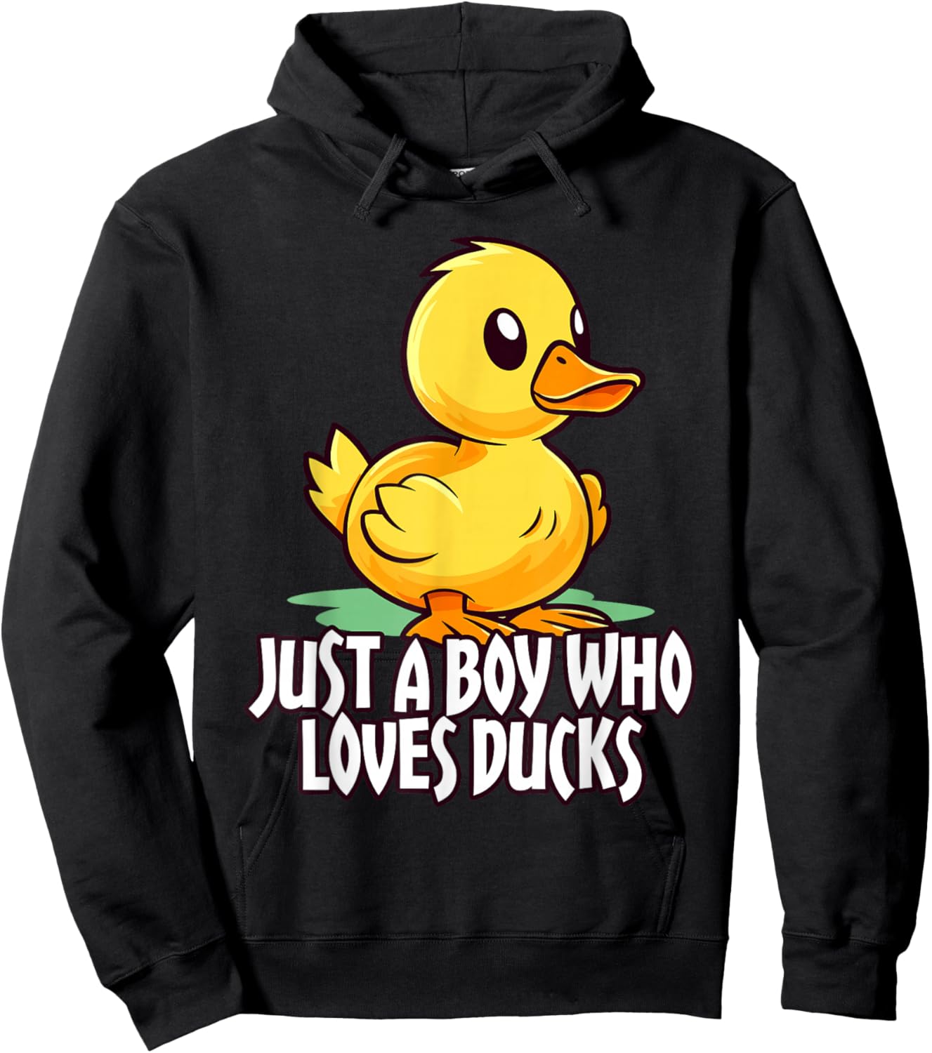 Cute Cartoon for Duck Lover Just a Boy Who Loves Ducks Gifts Hoodie - Hoodie | Black