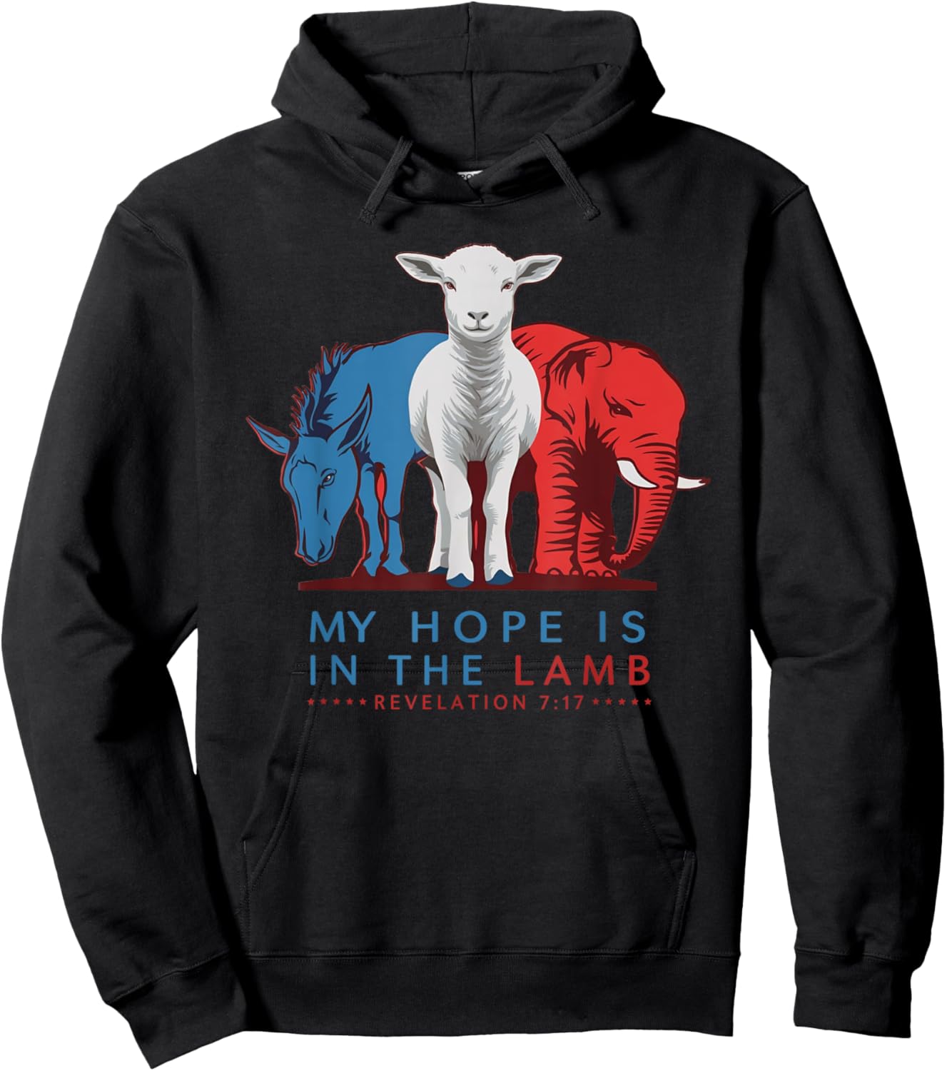 My Hope Is In The Lamb, Christian Political, Jesus 2024 Hoodie - Hoodie | Black