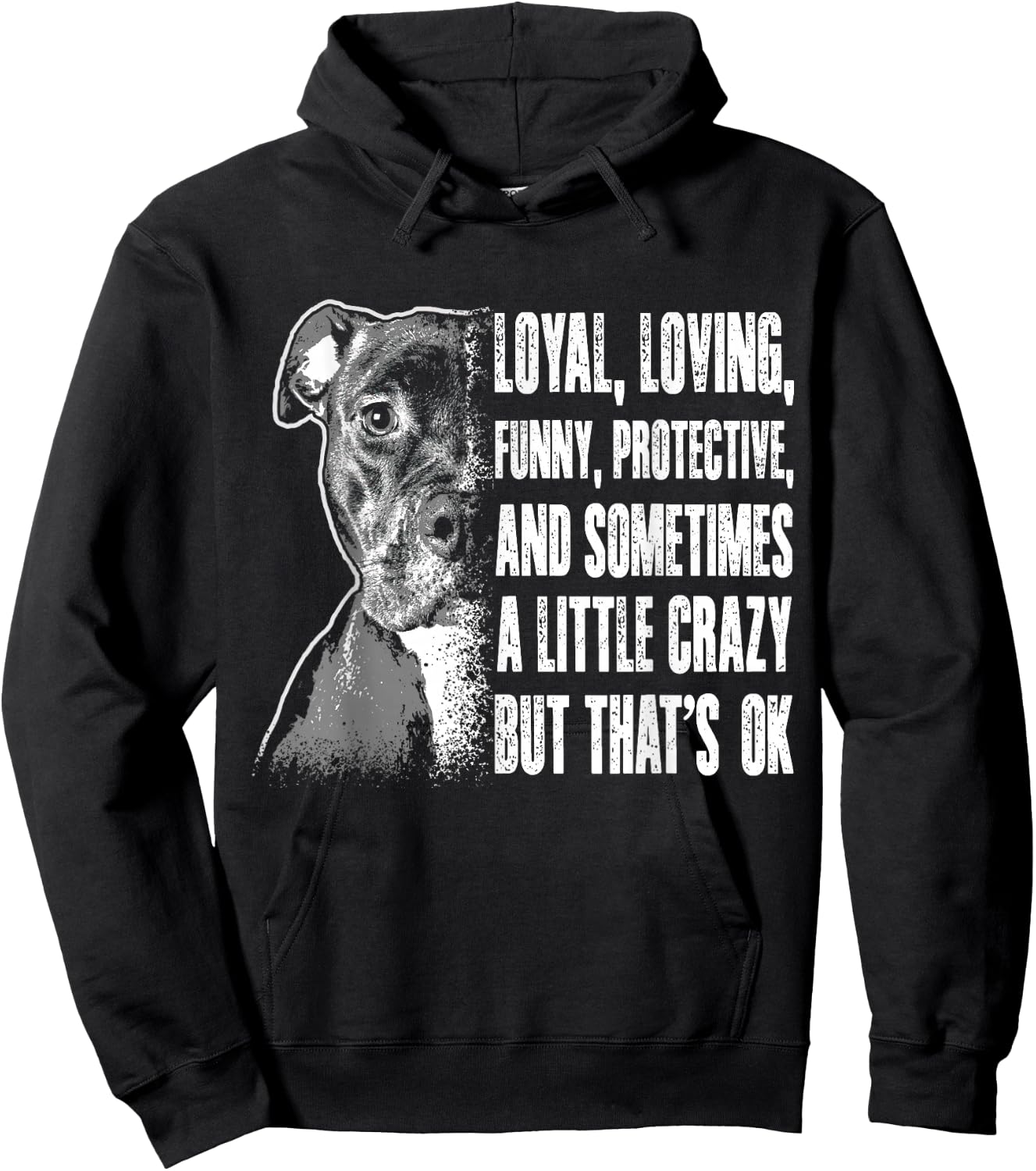 Pitbull Shirts Men Women Pitbull Rescue Shelter Dog Gift Hoodie - Hoodie | Black