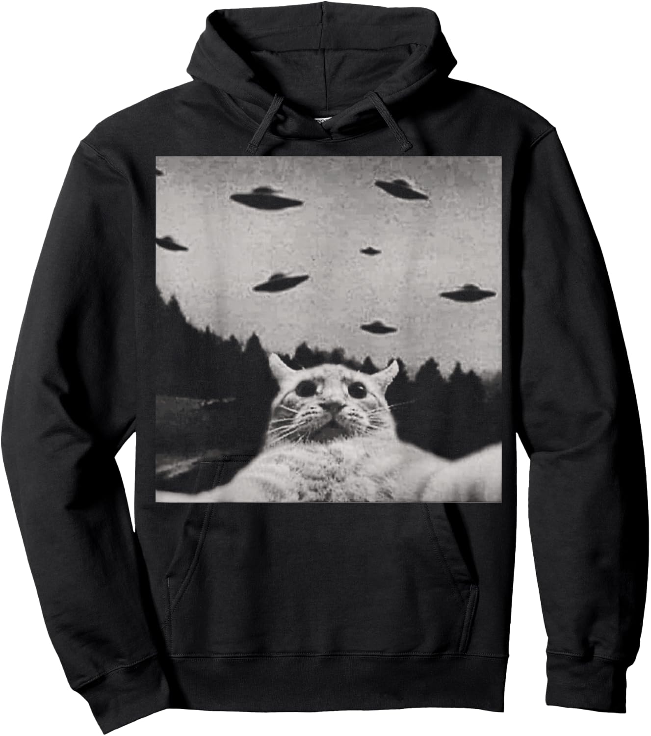 ThreadWeird Alien Cat UFO - Classic Fit, Round Neck, Black, Adult Hoodie - Hoodie | Black