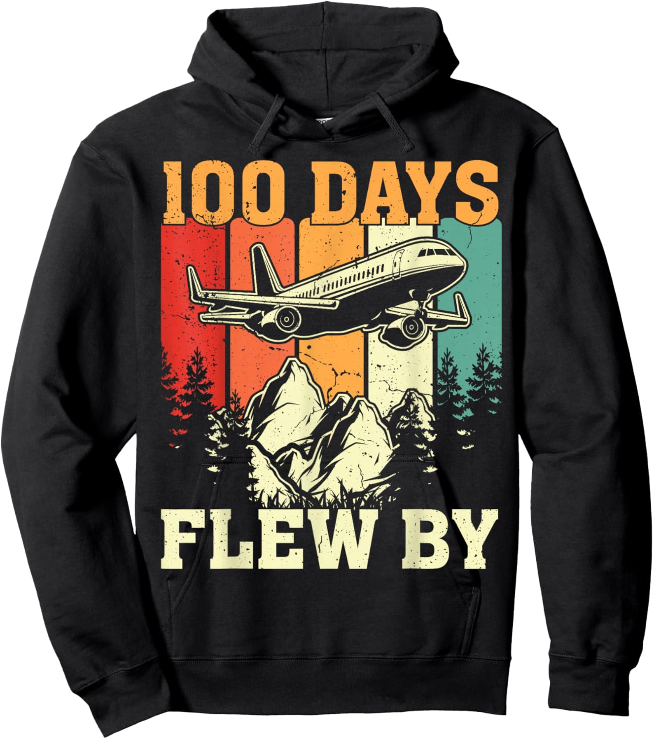 100 Days Just Flew By Airplane 100th Day Of School Teacher Hoodie - Hoodie | Black