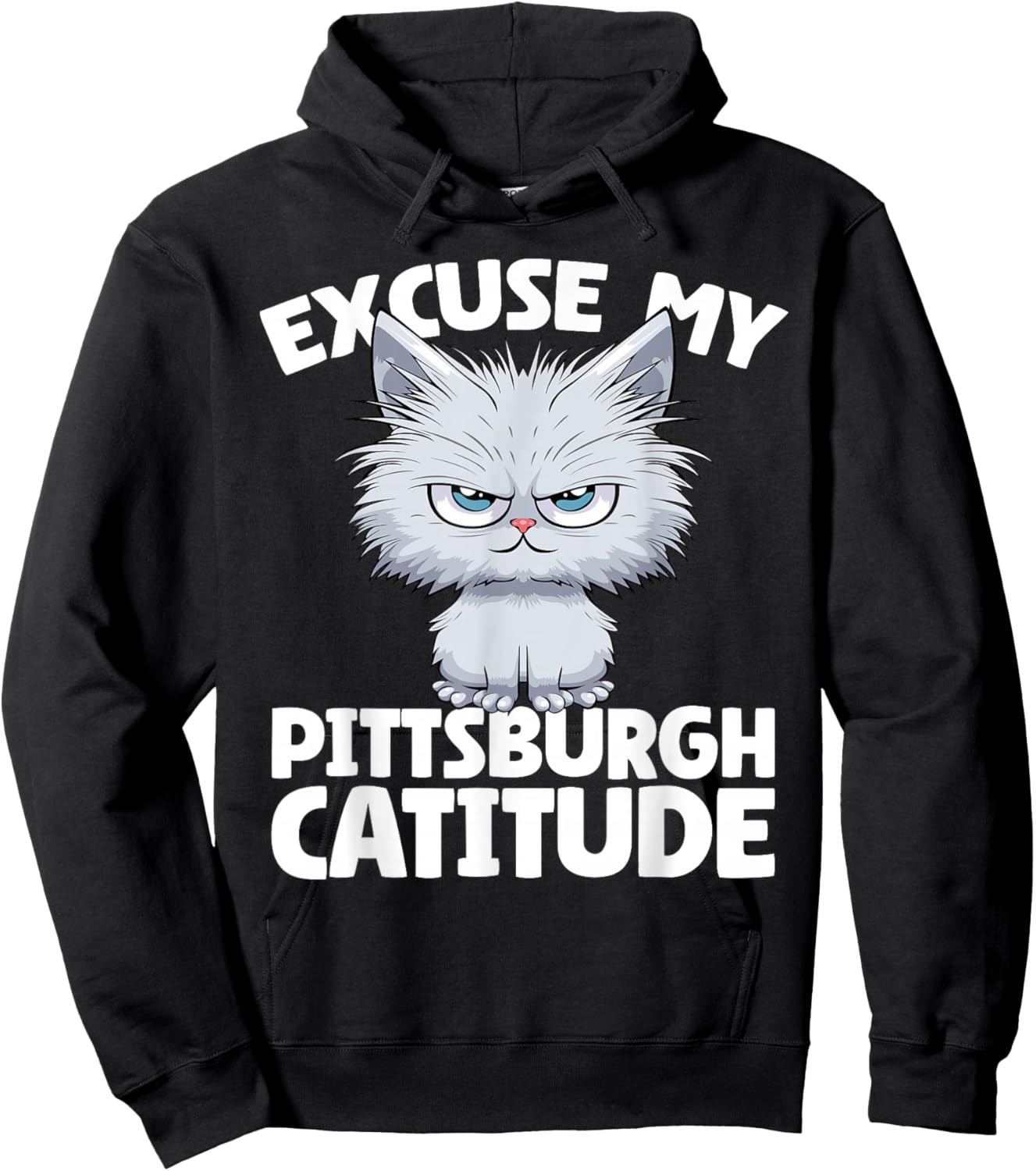 Excuse My Pittsburgh Catitude Pittsburgh Cat Attitude Women Hoodie - Hoodie | Black
