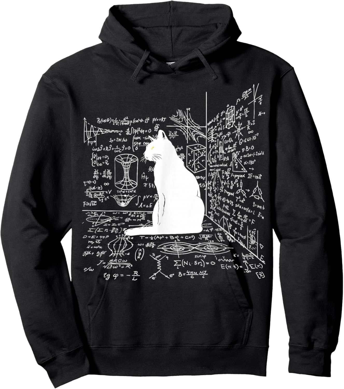 Schrodinger's Cat Inside the Box Hoodie - Hoodie | Black