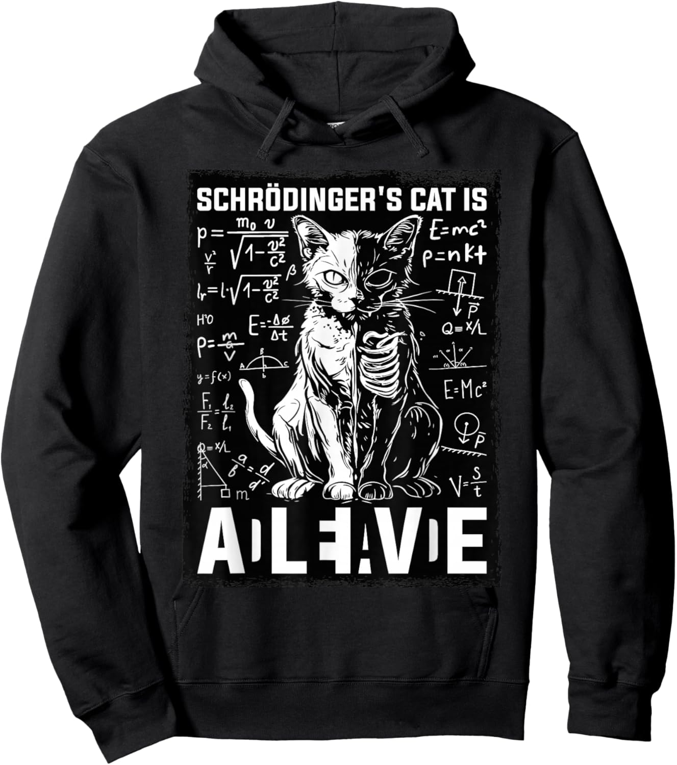 Schrodinger's Cat Dead And Alive Physics Hoodie - Hoodie | Black