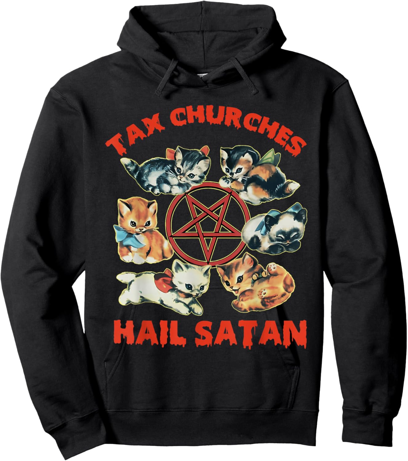 Tax Churches Hail Satan Funny Design Hoodie - Hoodie | Black