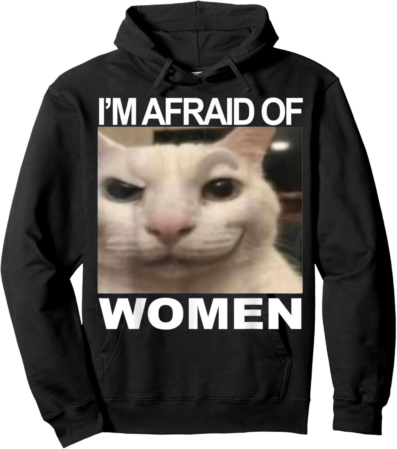 I’m Afraid Of Women Funny Meme Cat Lover Sarcastic Humorous Hoodie - Hoodie | Black