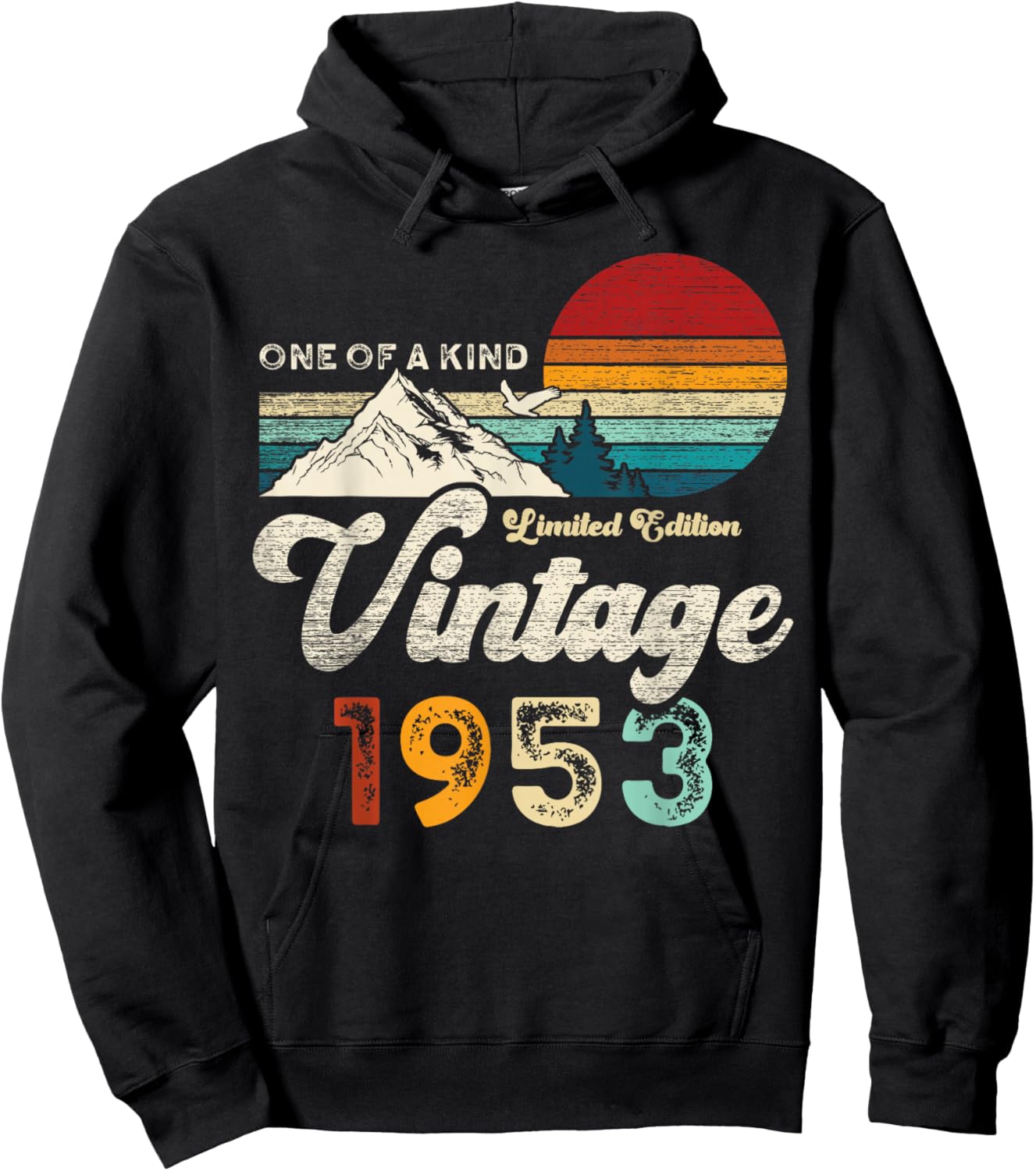 Vintage 1953 Montagnes Aigle Retro 73e Anniversaire Hoodie - Hoodie | Black
