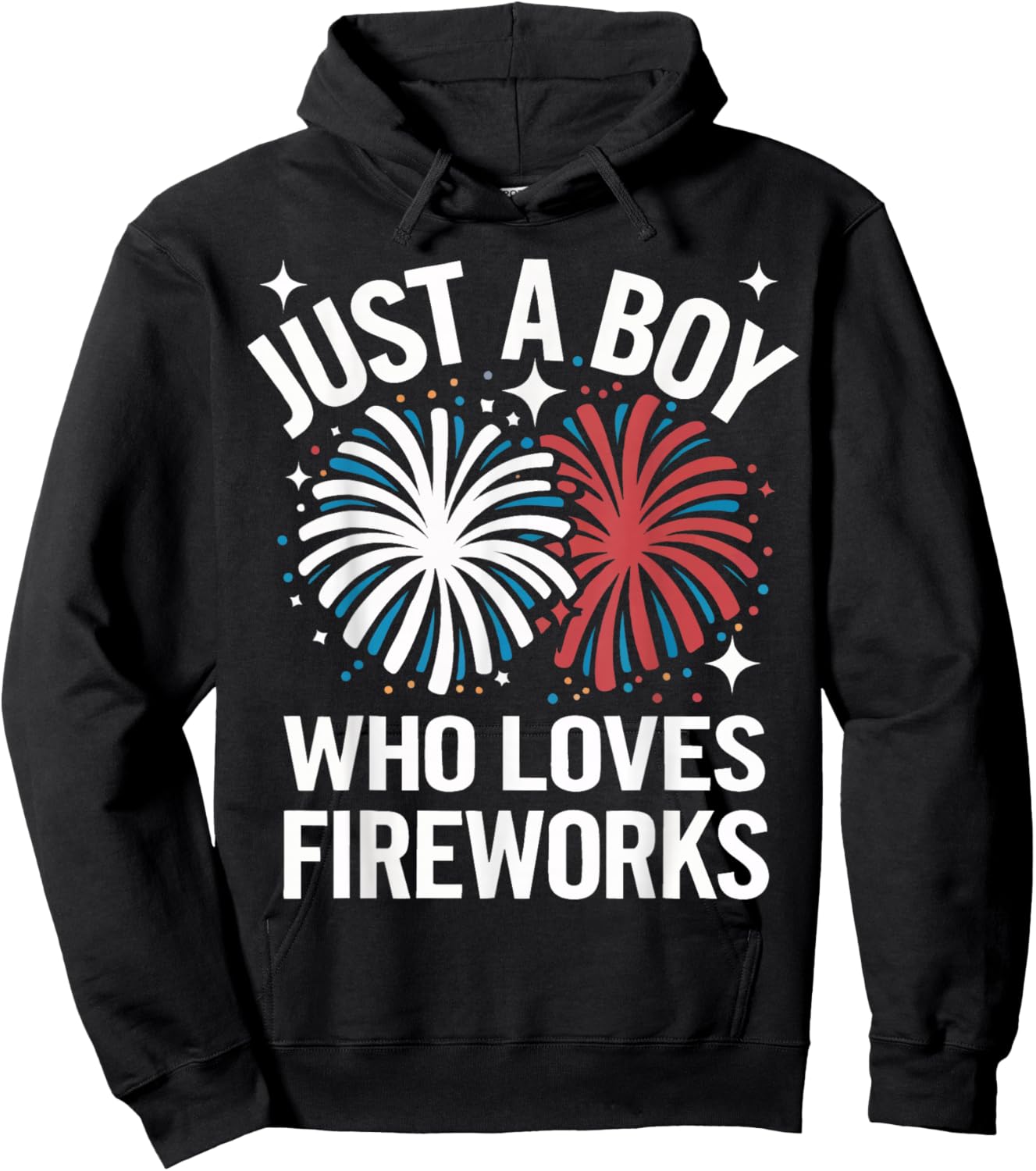 Fireworks Director Just A Boy Who Loves Fireworks Hoodie - Hoodie | Black