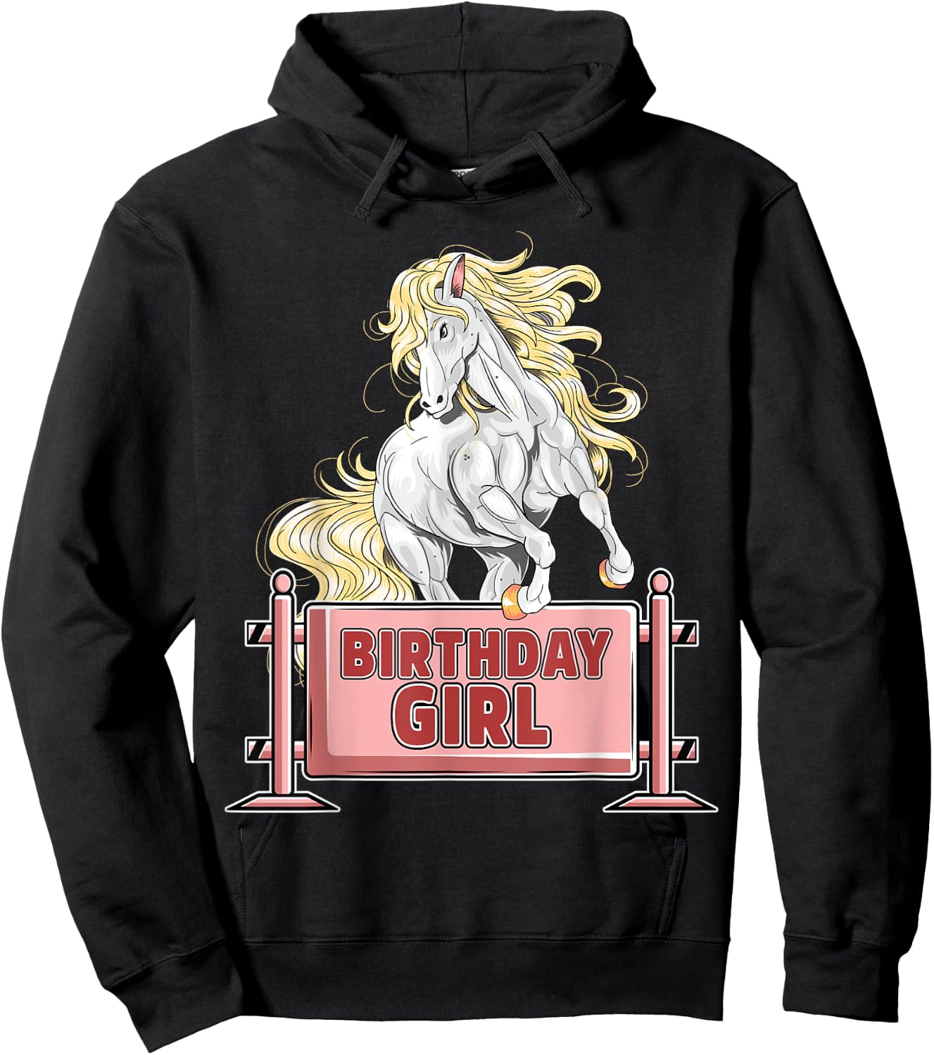 Cute Horse Birthday Girl Party Animal Farm Barn Horse Lover Hoodie - Hoodie | Black