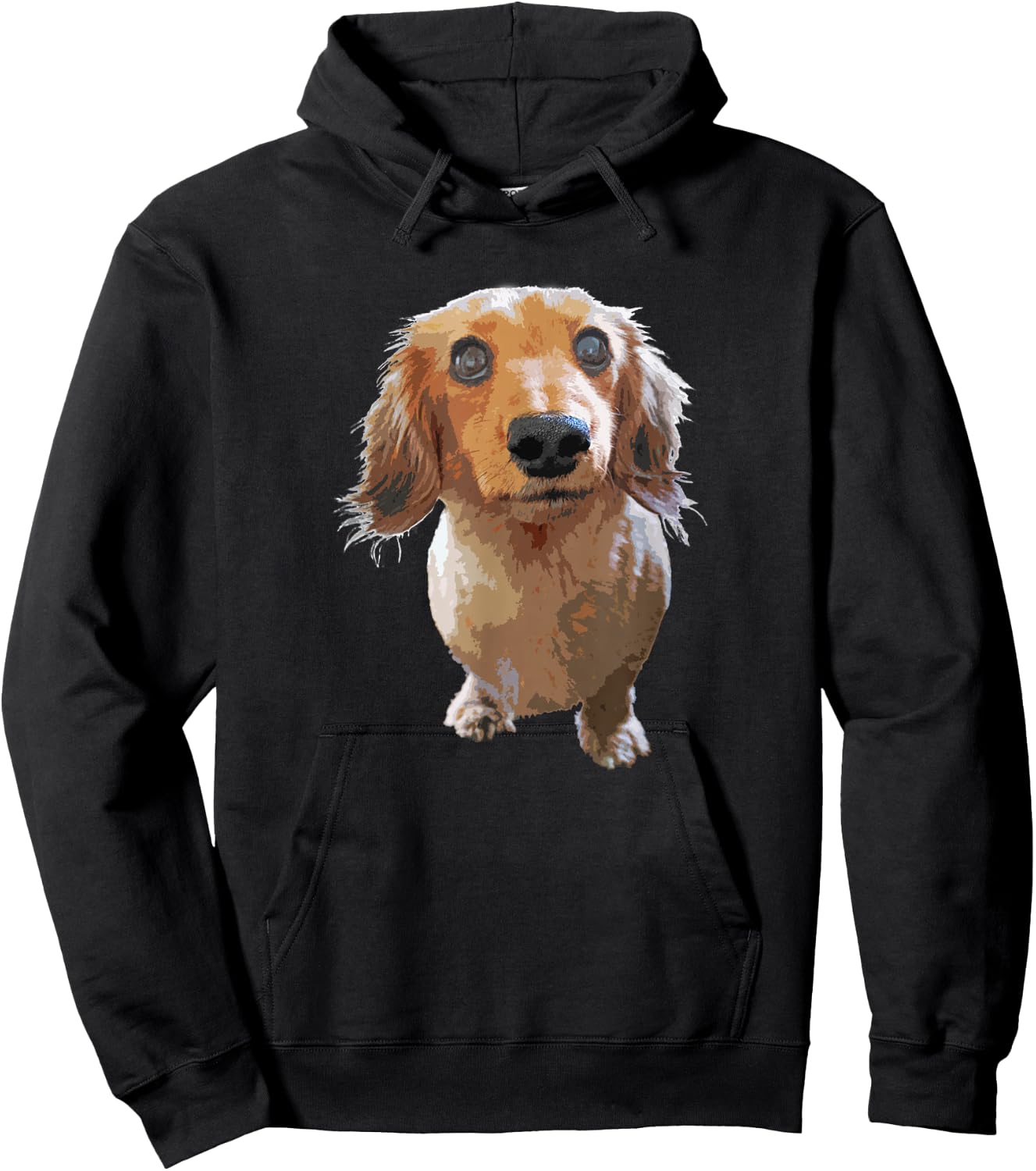 Long Hair Dachshund Cute Wiener Dog Gift Men Kids Hoodie - Hoodie | Black