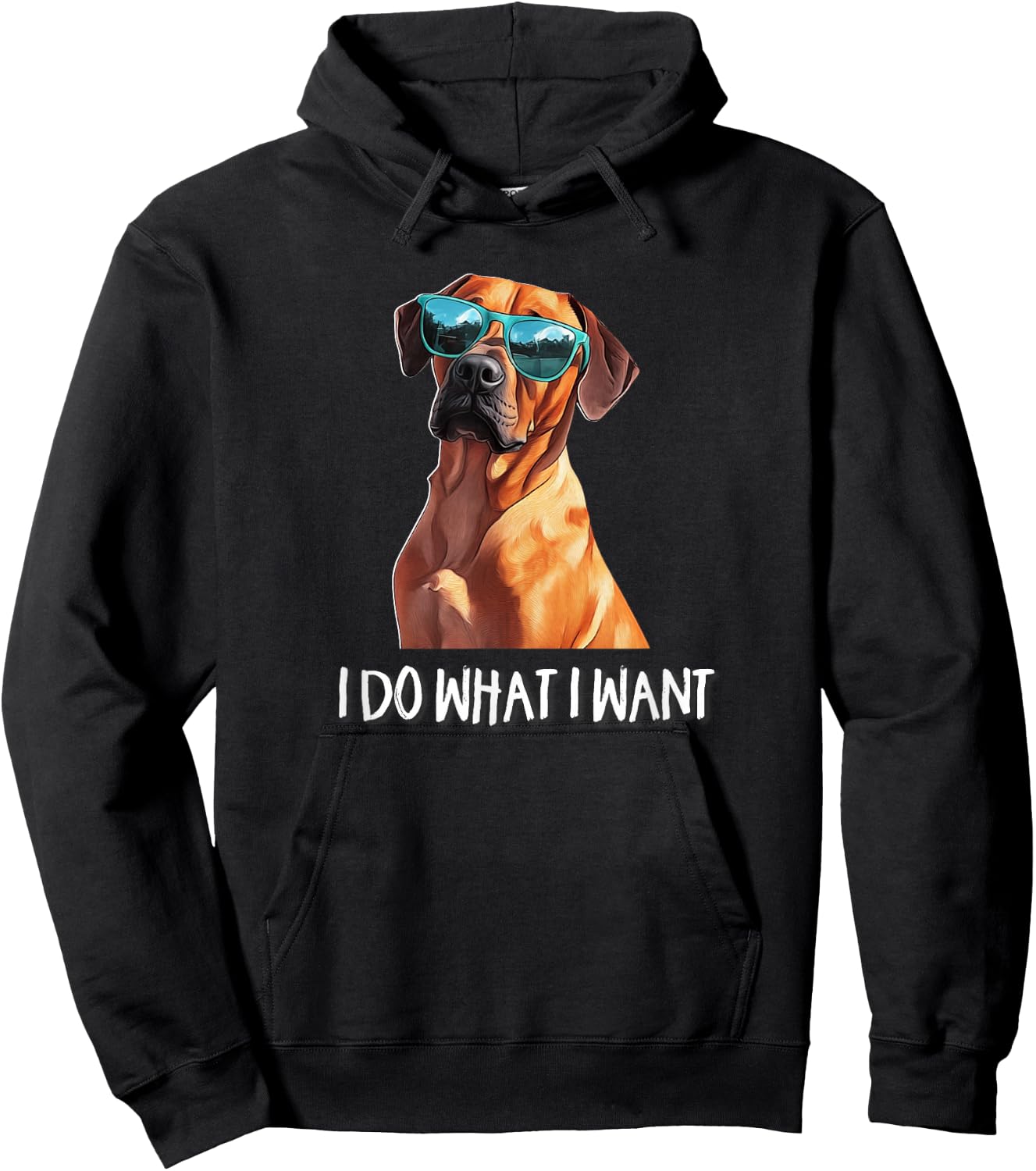 Kids Funny Do What I Want Rhodie Lover Hoodie - Hoodie | Black