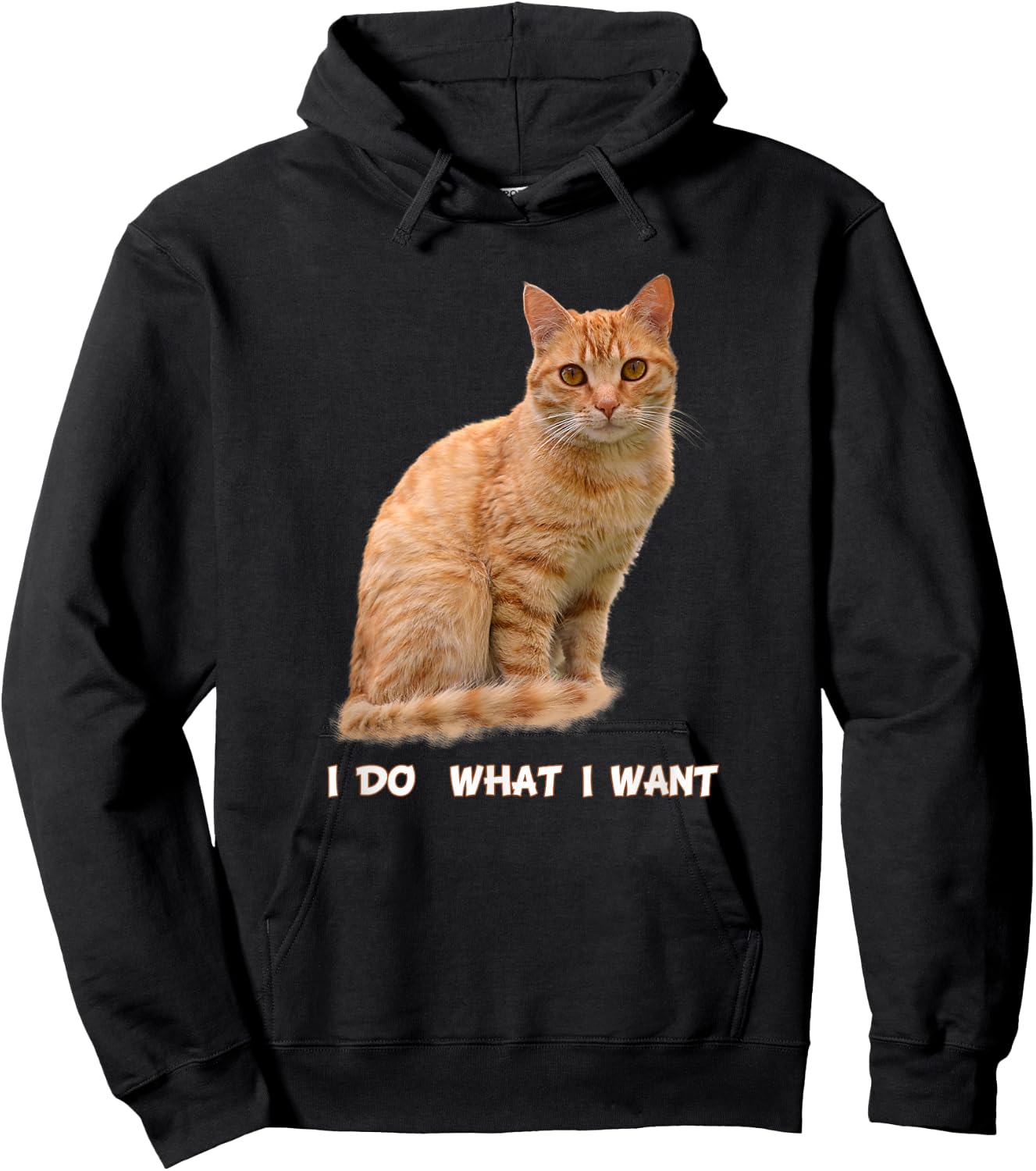 I Make What I Want Funny Orange Tabby Cat Lovers Hoodie - Hoodie | Black