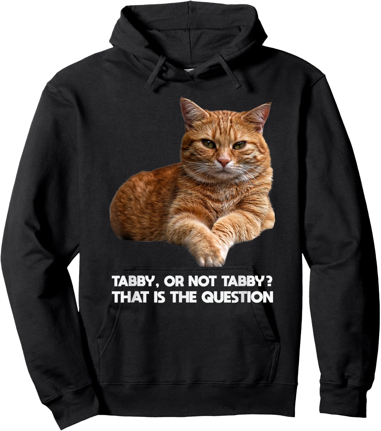 Orange Tabby Cat Funny Meme Design Graphic Hoodie - Hoodie | Black