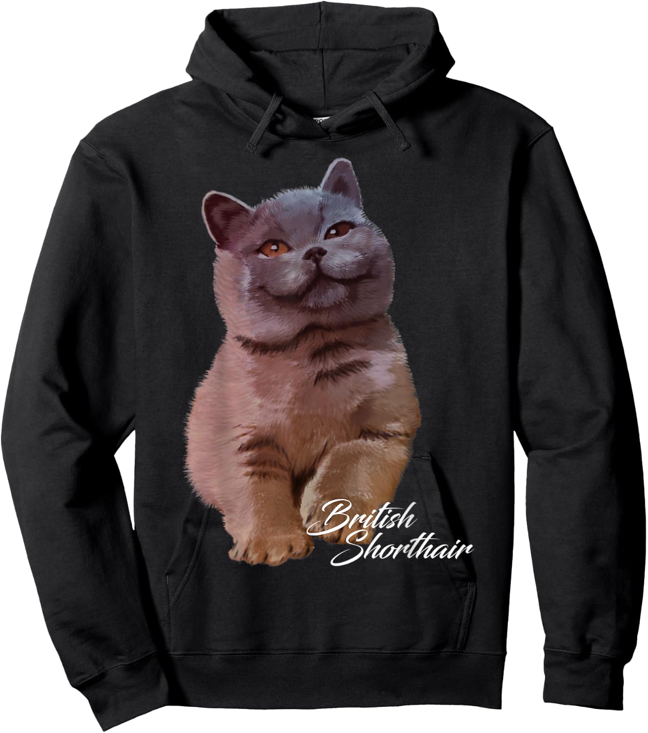 Colorful British Shorthair Cat Funny Kitties Lover Gift Men Women Kids Hoodie - Hoodie | Black