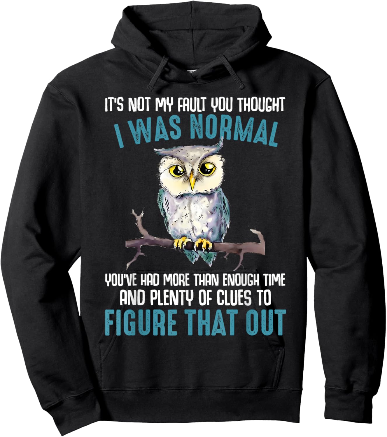Funny Owl It's Not My Fault You Thought I Was Normal Hoodie - Hoodie | Black