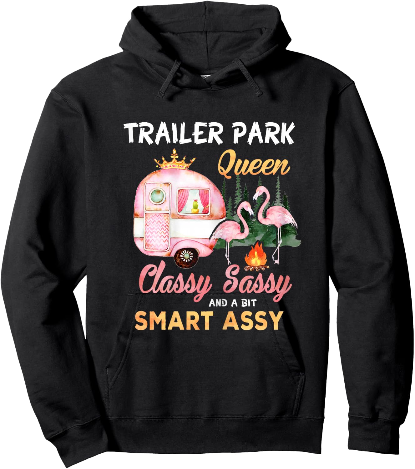 Trailer Park Queen Classy Sassy A Bit Smart Assy Hoodie - Hoodie | Black