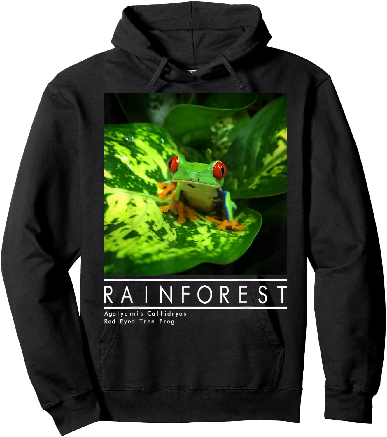 Red Eyed Tree Frog Rainforest Amphibian Hoodie - Hoodie | Black