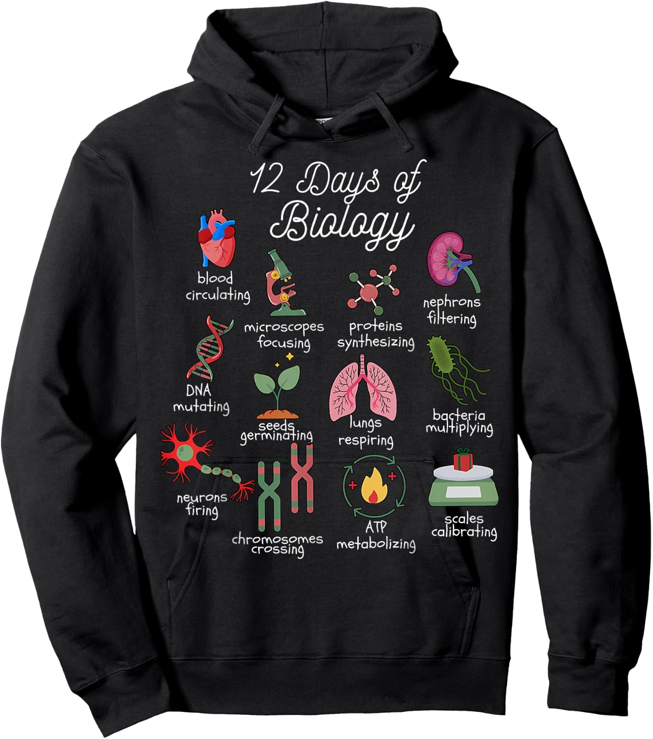 12 Days of Biology Christmas Biology Science Teacher STEMS Hoodie - Hoodie | Black