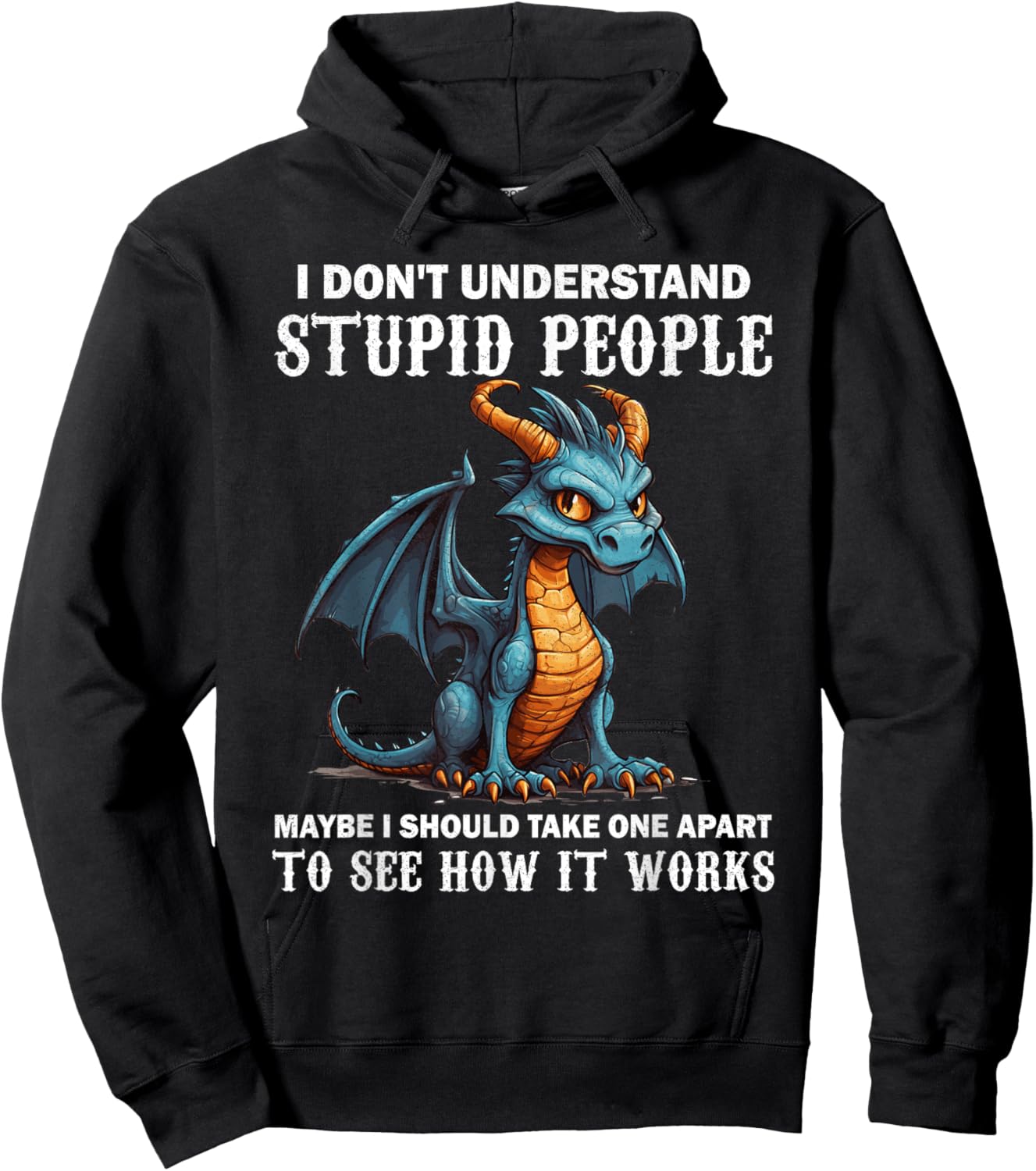 I Don't Understand Stupid People Cute Dragons Lover Funny Hoodie - Hoodie | Black