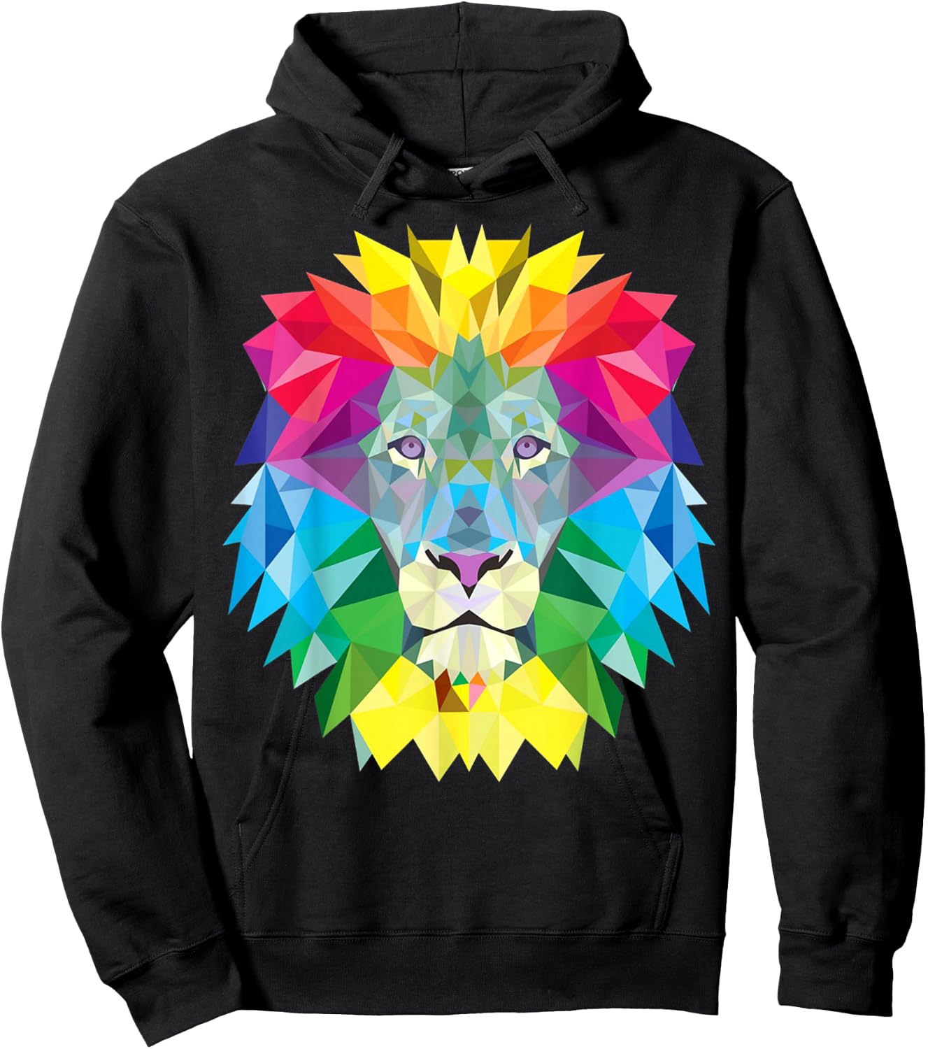 Geometric Rainbow Lion Face Hoodie - Hoodie | Black