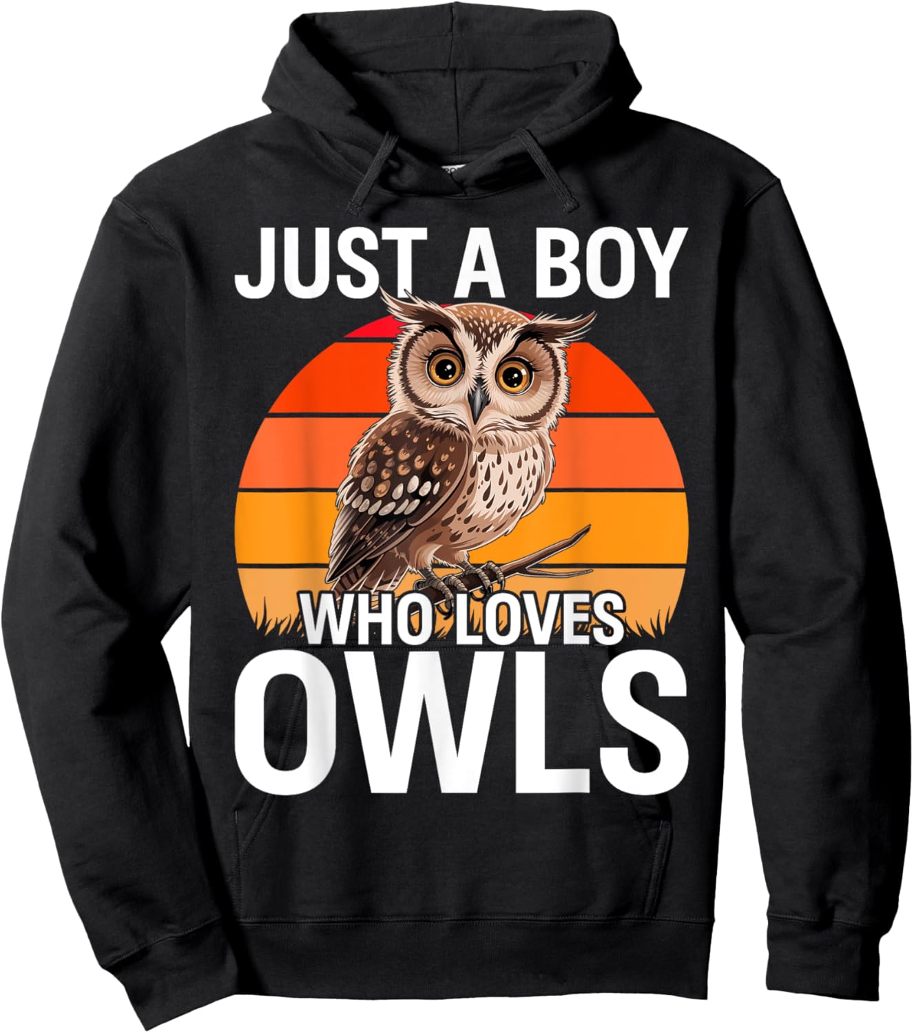 Just a Boy Who Loves Owls For Toddlers Boys Kids Birds Lover Hoodie - Hoodie | Black