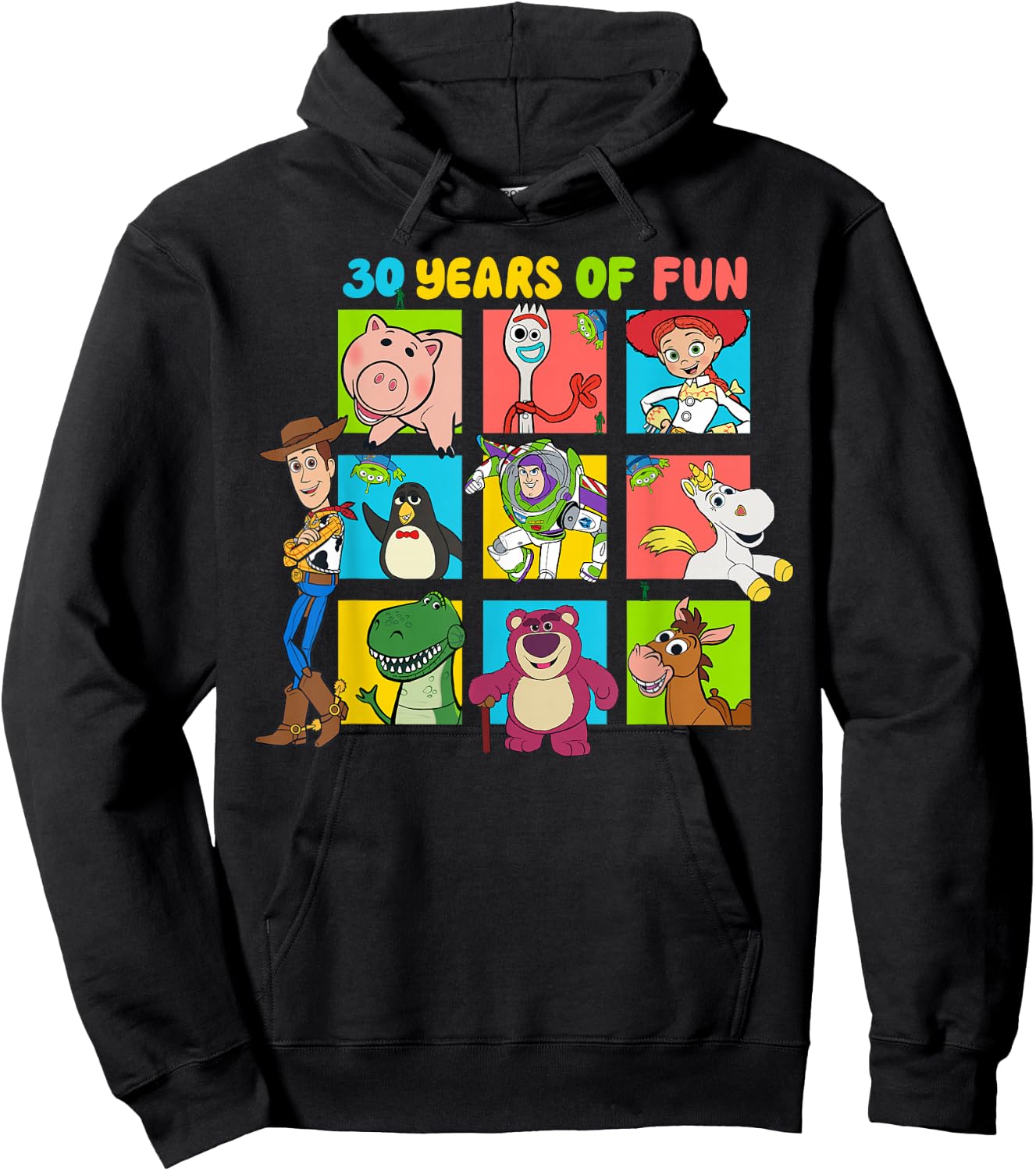 Disney & Pixar's Toy Story 30th Anniversary 30 Years of Fun Hoodie - Hoodie | Black
