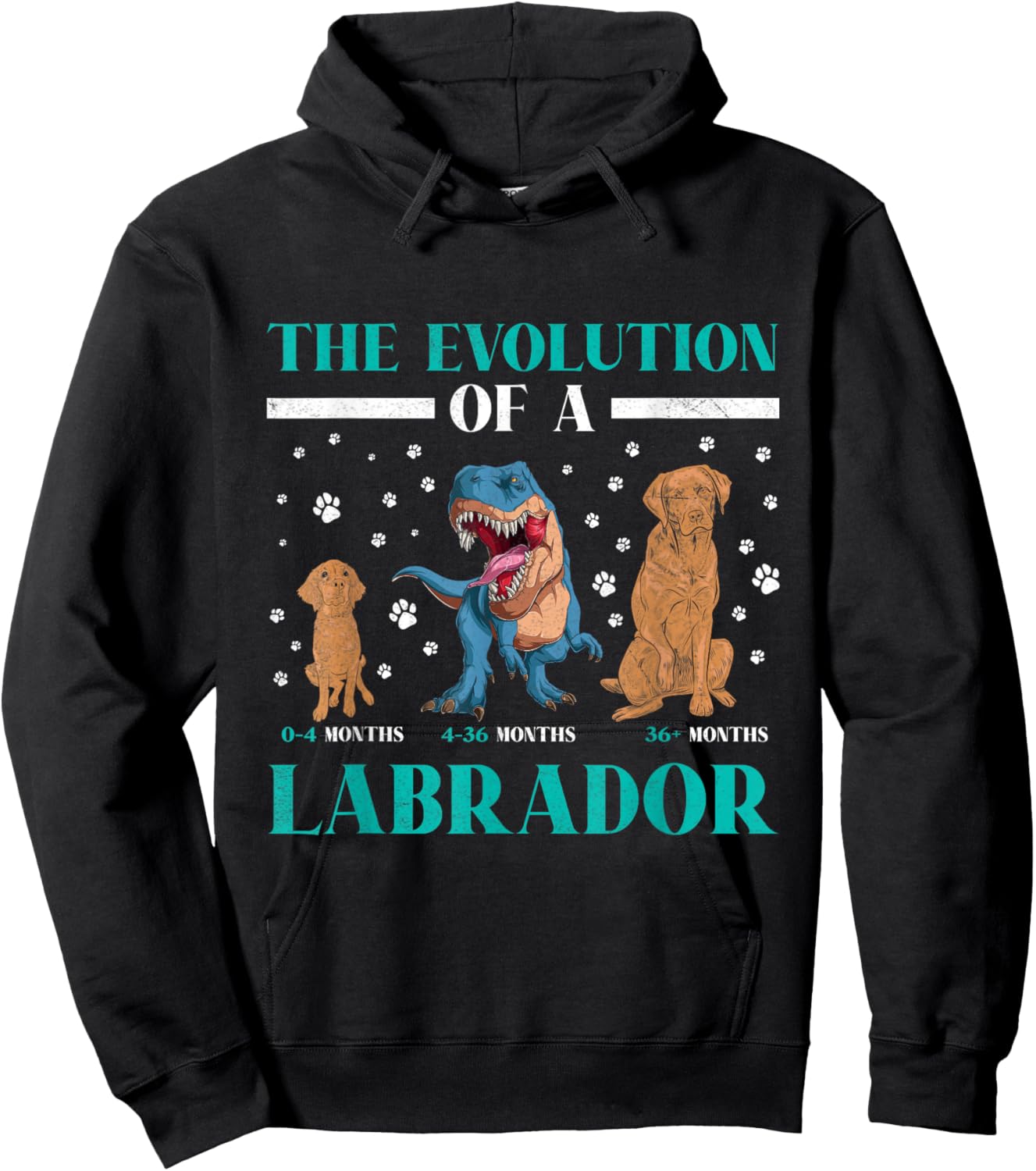 EVOLUTION OF A LABRADOR RETRIEVER Owner Labradors Hoodie - Hoodie | Black