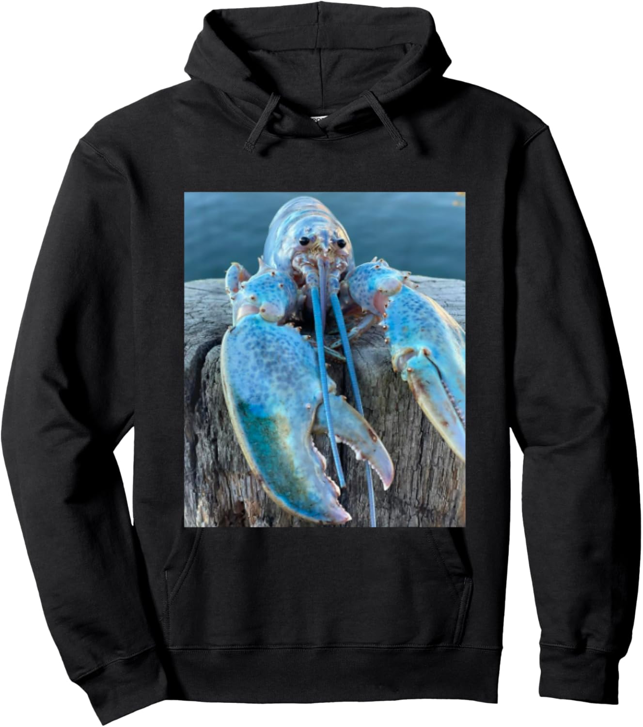 Funny Jumpscare Lobster Meme Blue Crustacean Hoodie - Hoodie | Black