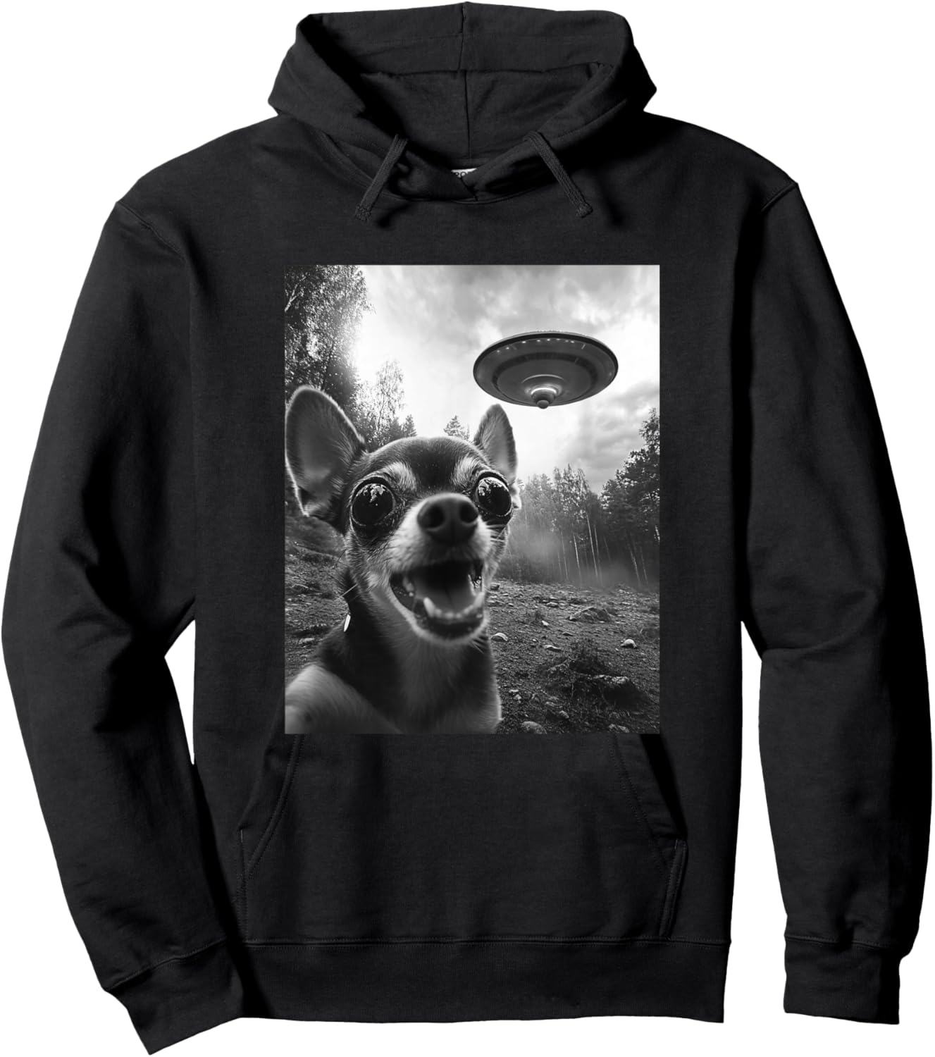 Alien UFO Funny Meme Chihuahua Hoodie - Hoodie | Black