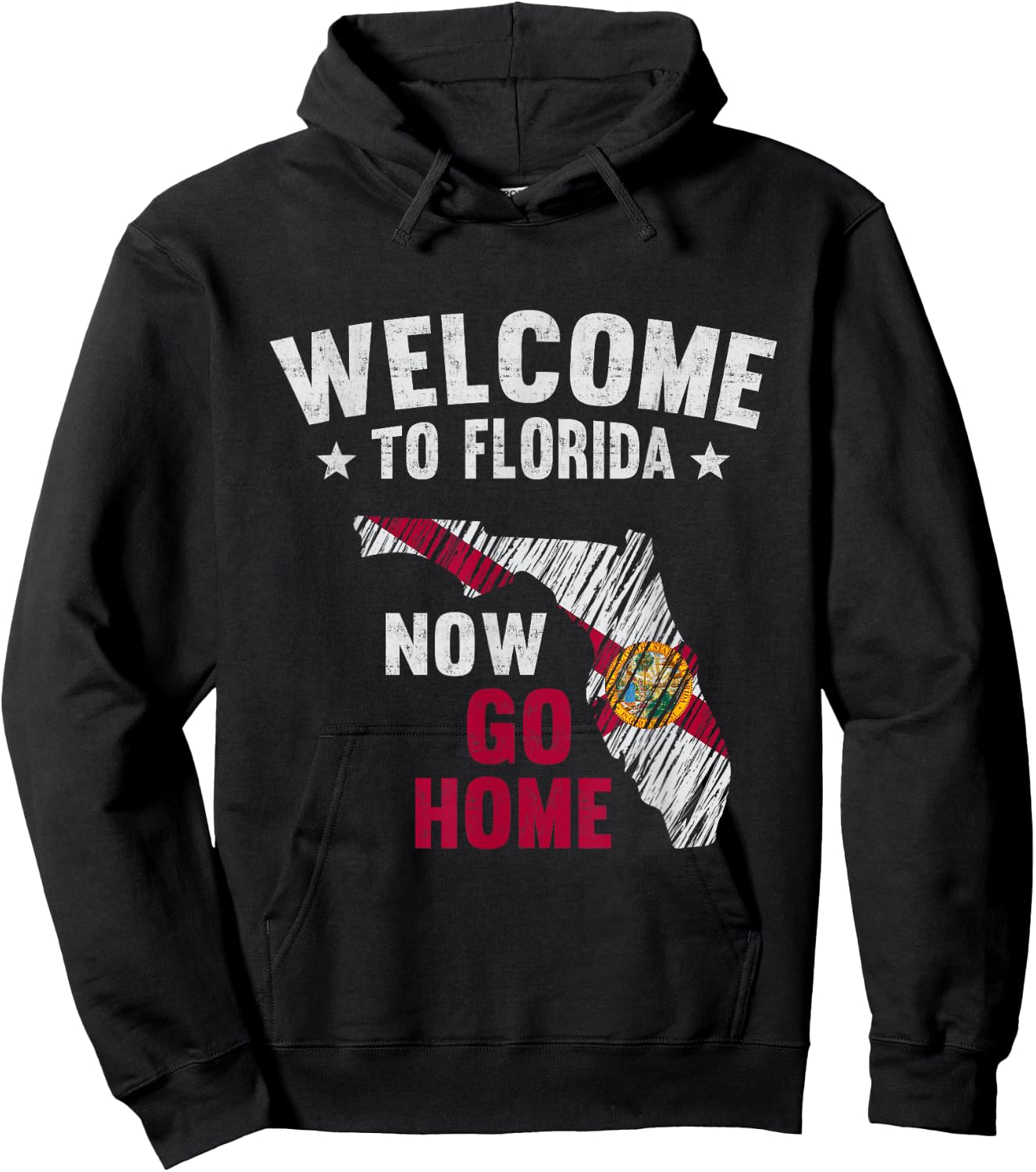 Welcome To Florida Now Go Home Florida Map Flag Hoodie - Hoodie | Black