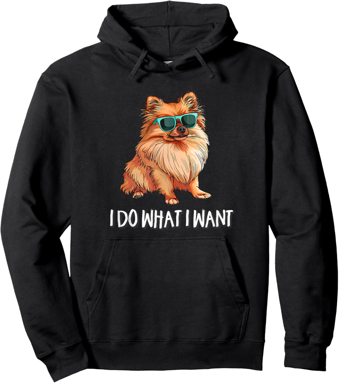 Funny I Do What I Want Pomeranian Lover Hoodie - Hoodie | Black