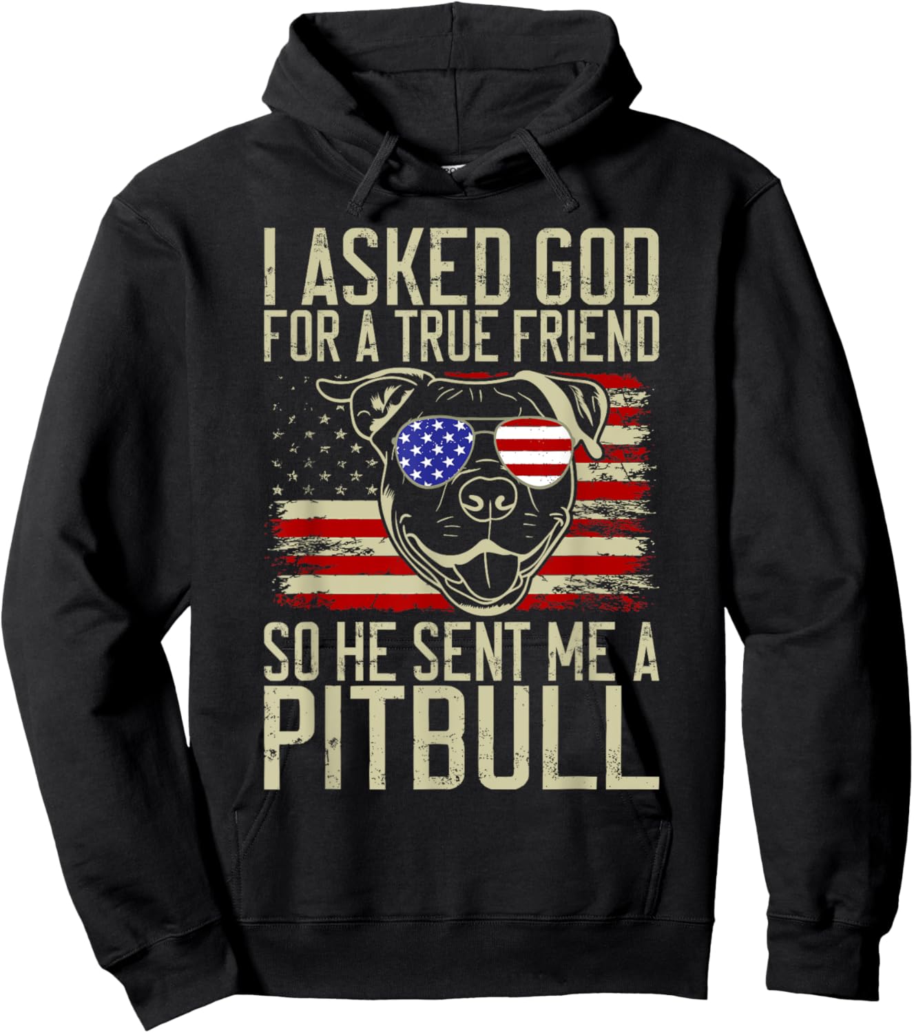 I asked God for a true Friend so he sent me a Pitbull Hoodie - Hoodie | Black