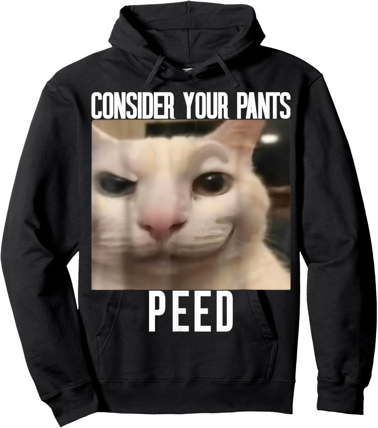 Consider Your Pants Peed Weird Cat Meme Funny Memes Brainrot Hoodie - Hoodie | Black