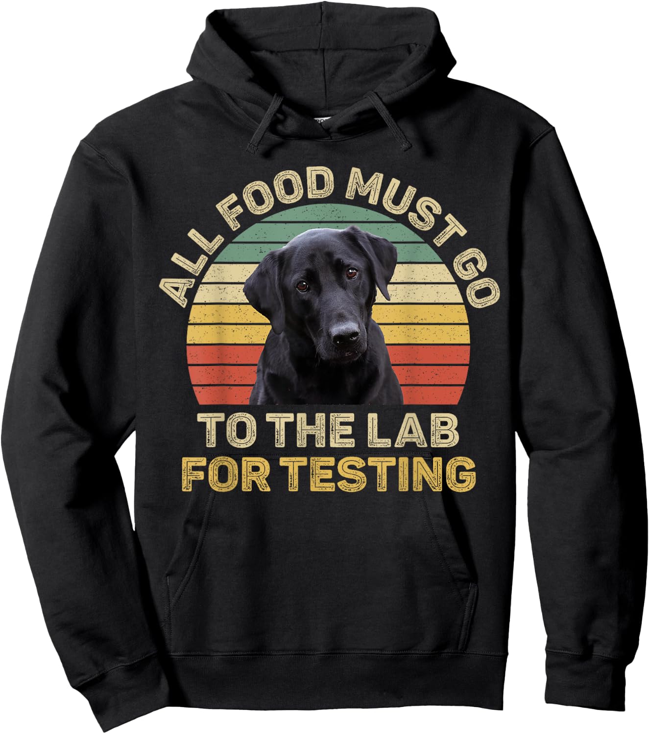 Labrador Design All Food Must Go To The Lab For Testing Hoodie - Hoodie | Black