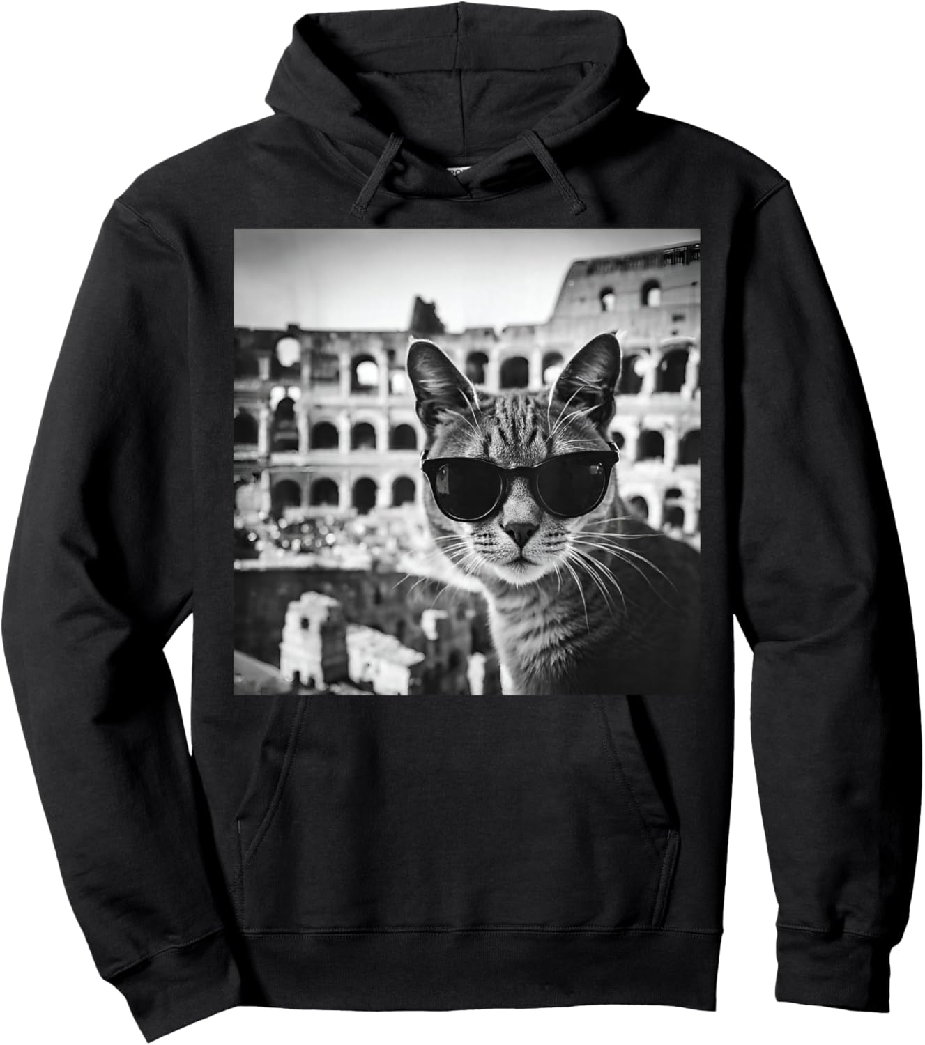 Funny Italy Cat Wearing Sunglasses At The Roman Colosseum Hoodie - Hoodie | Black