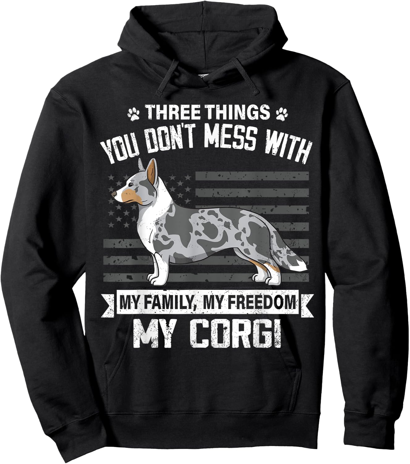Cardigan Corgi Dog Lover Mom Dad Things You Dont Mess With Hoodie - Hoodie | Black